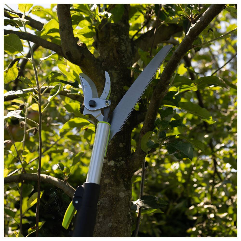 Gartenwerkzeuge einschließlich einer Gartenschere und einer Säge, die an einem Schaft befestigt sind, zum Beschneiden von Baumästen, umgeben von grünem Laub.