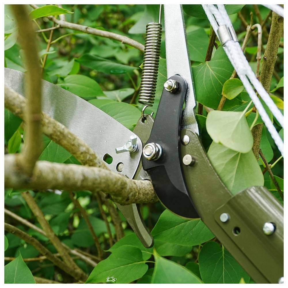 Astschere, die einen Baumast inmitten üppig grüner Blätter beschneidet und dabei die scharfen Klingen und den effizienten Schneidmechanismus des Werkzeugs zur Geltung bringt.