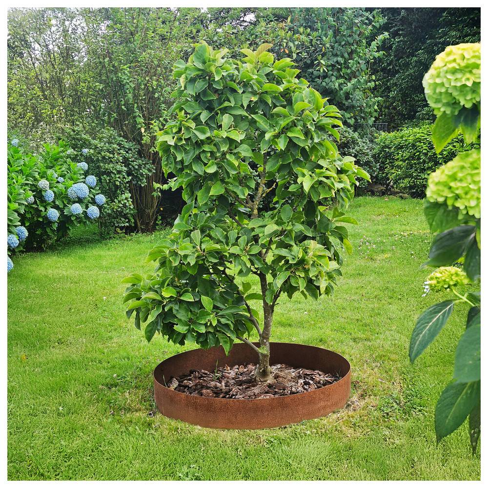 Ein kleiner Baum mit reichlich grünem Laub, der in einem kreisförmigen, rostfarbenen Metallrand in einem gepflegten Gartenbereich gepflanzt ist.