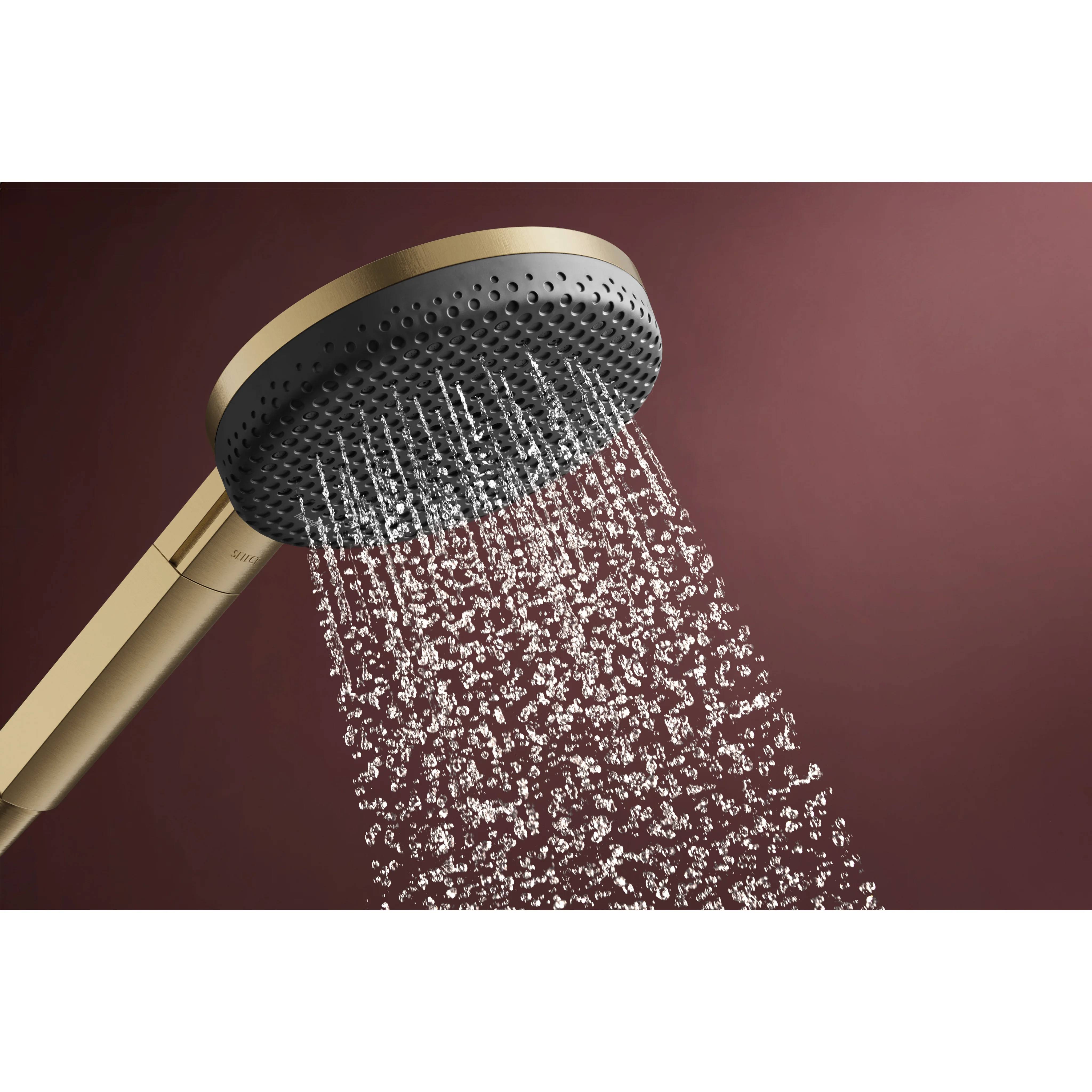 hansgrohe Handbrause Raindance Alive Select S 125 3jet BBR, 1 Stk.