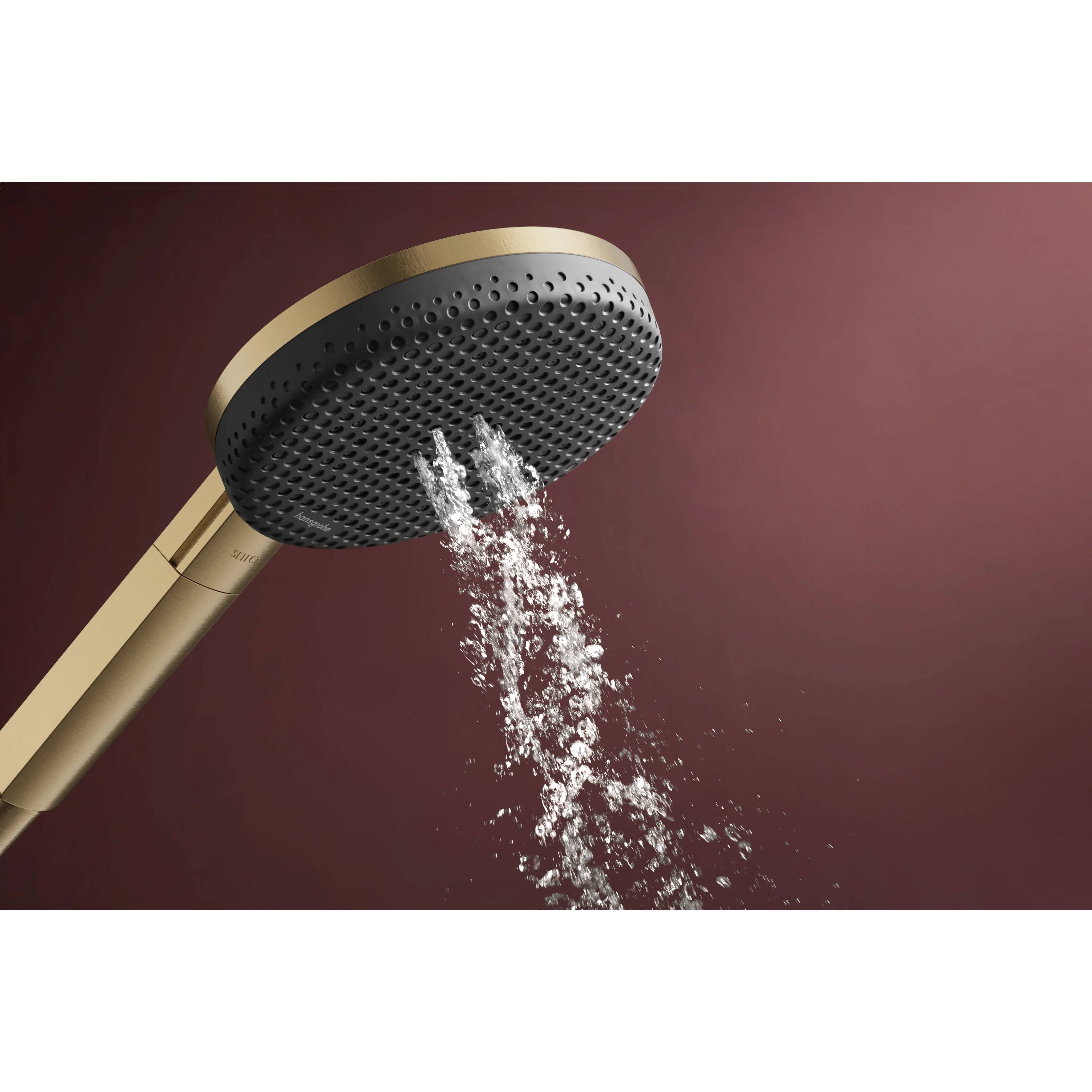 hansgrohe Handbrause Raindance Alive Select S 125 3jet BBR, 1 Stk.