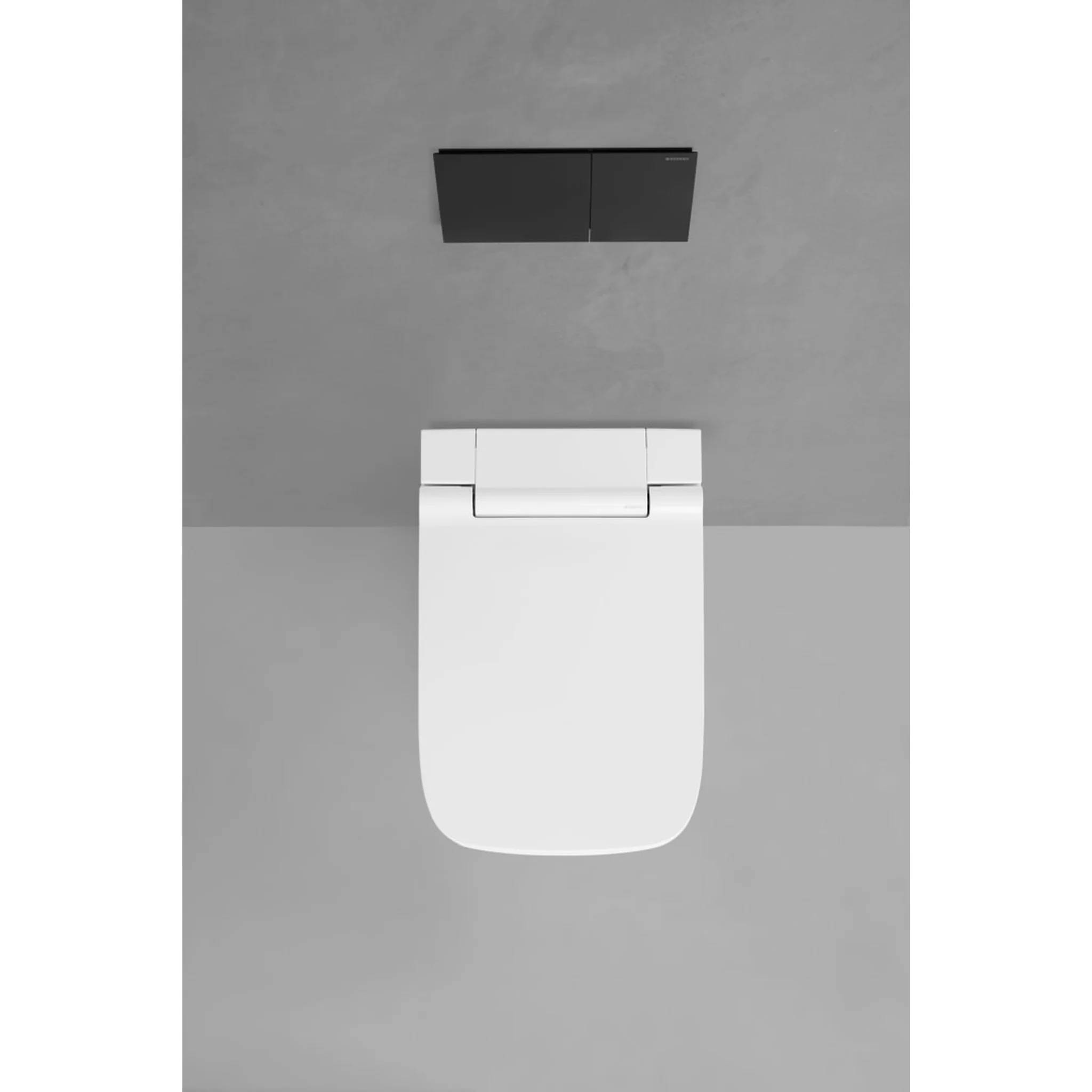 Ansicht von oben auf eine weiße Toilette mit schwarzem Doppelspülknopf auf grauem Hintergrund.