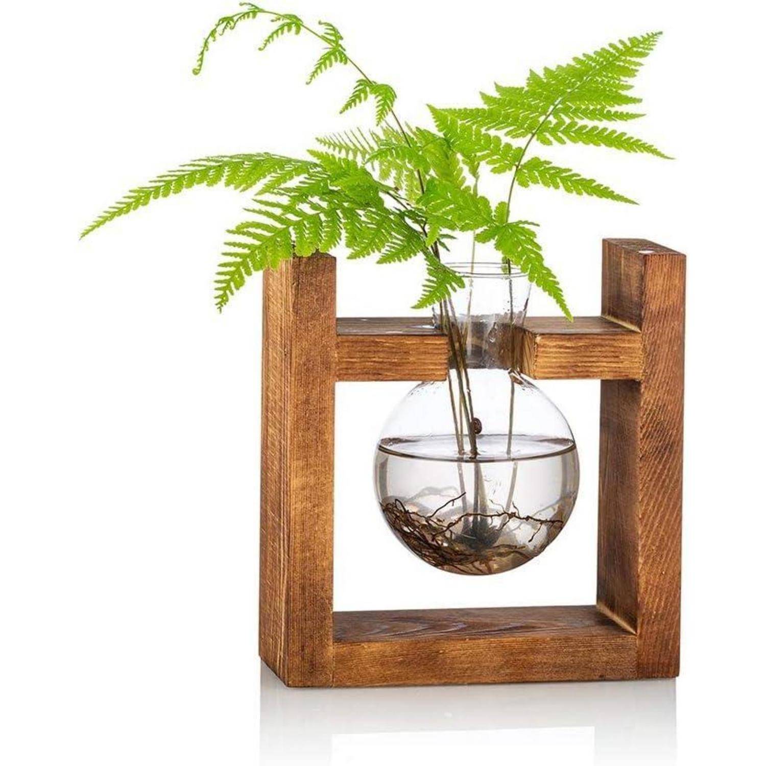 Eine Glasvase mit grünen Farnen und Wurzeln wird von einem Holzgestell getragen, die natürliche Elemente mit einem modernen Design verbindet.