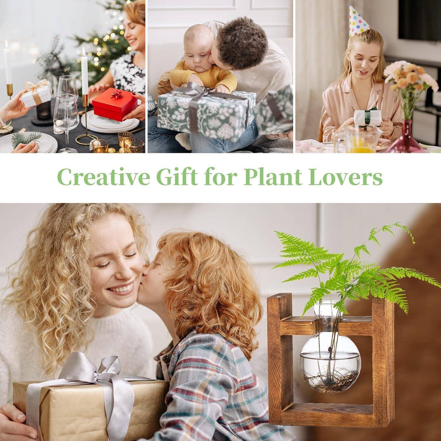 Kreatives Geschenk für Pflanzenliebhaber