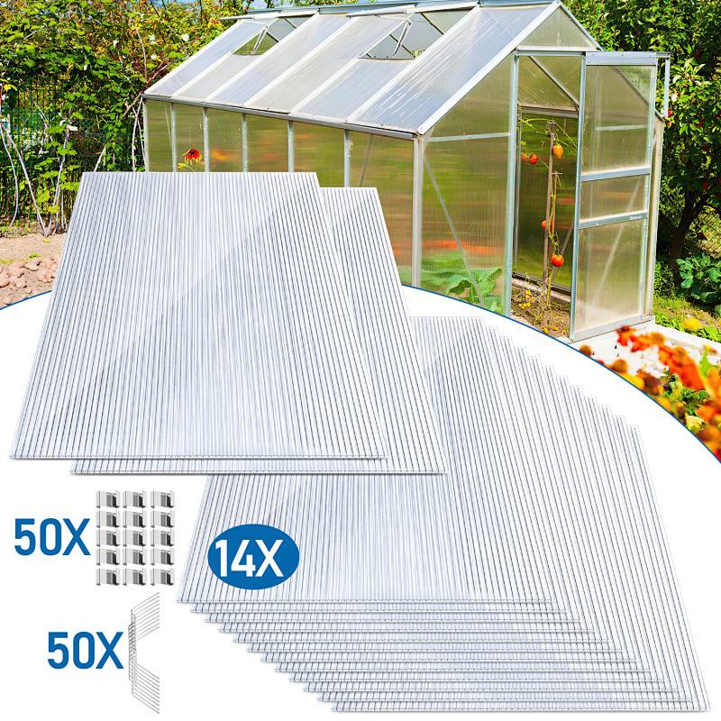 Gewächshaus, das mit transparenten Polycarbonatplatten abgedeckt ist und eine 50-fache Menge im Vordergrund zeigt. Die Platten lassen Sonnenlicht durch und schützen gleichzeitig die Pflanzen.