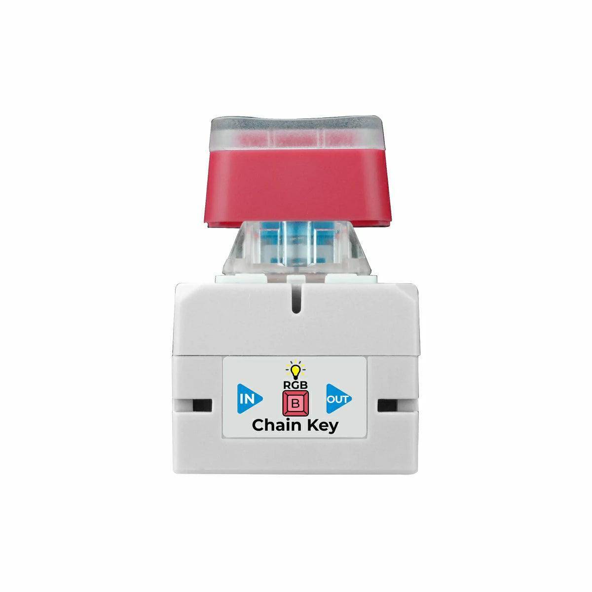 Ein Schalter mit einem roten Knopf, beschriftet mit 'Chain Key' für RGB-Steuerung, mit 'IN'- und 'OUT'-Anschlüssen auf einer weißen Basis.
