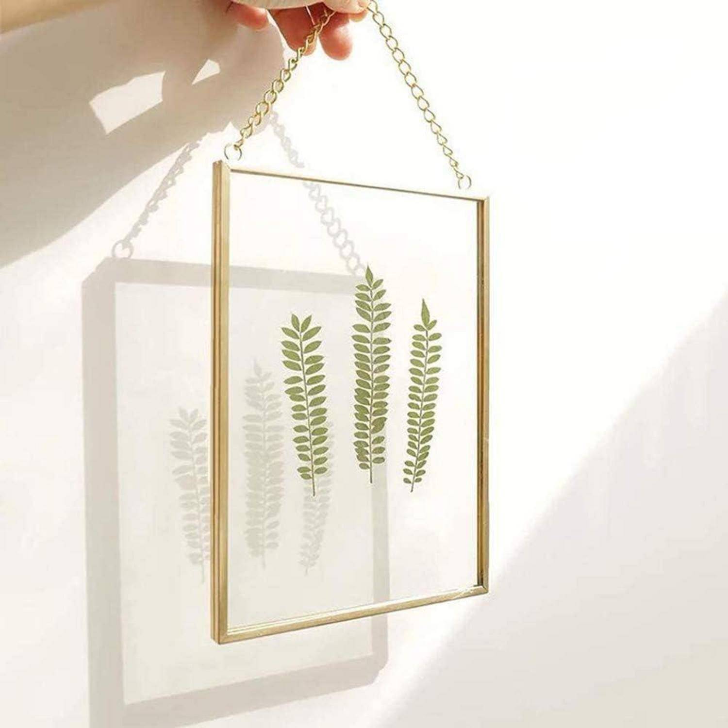 Ein gerahmtes Glaspanel mit drei Farnblättern im Inneren, von einer Hand vor einer sonnenbeschienenen Wand gehalten, die einen Schatten dahinter wirft.