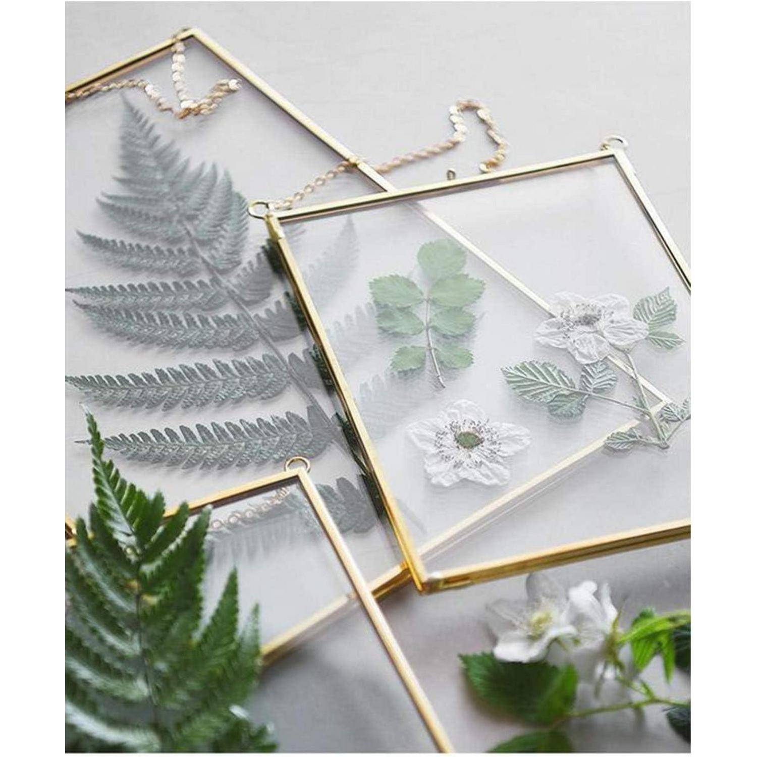 Drei goldgerahmte Pressglas-Displays zeigen verschiedene gepresste Blätter und weiße Blumen, die auf einer hellen Oberfläche mit zusätzlichem Blattwerk arrangiert sind.