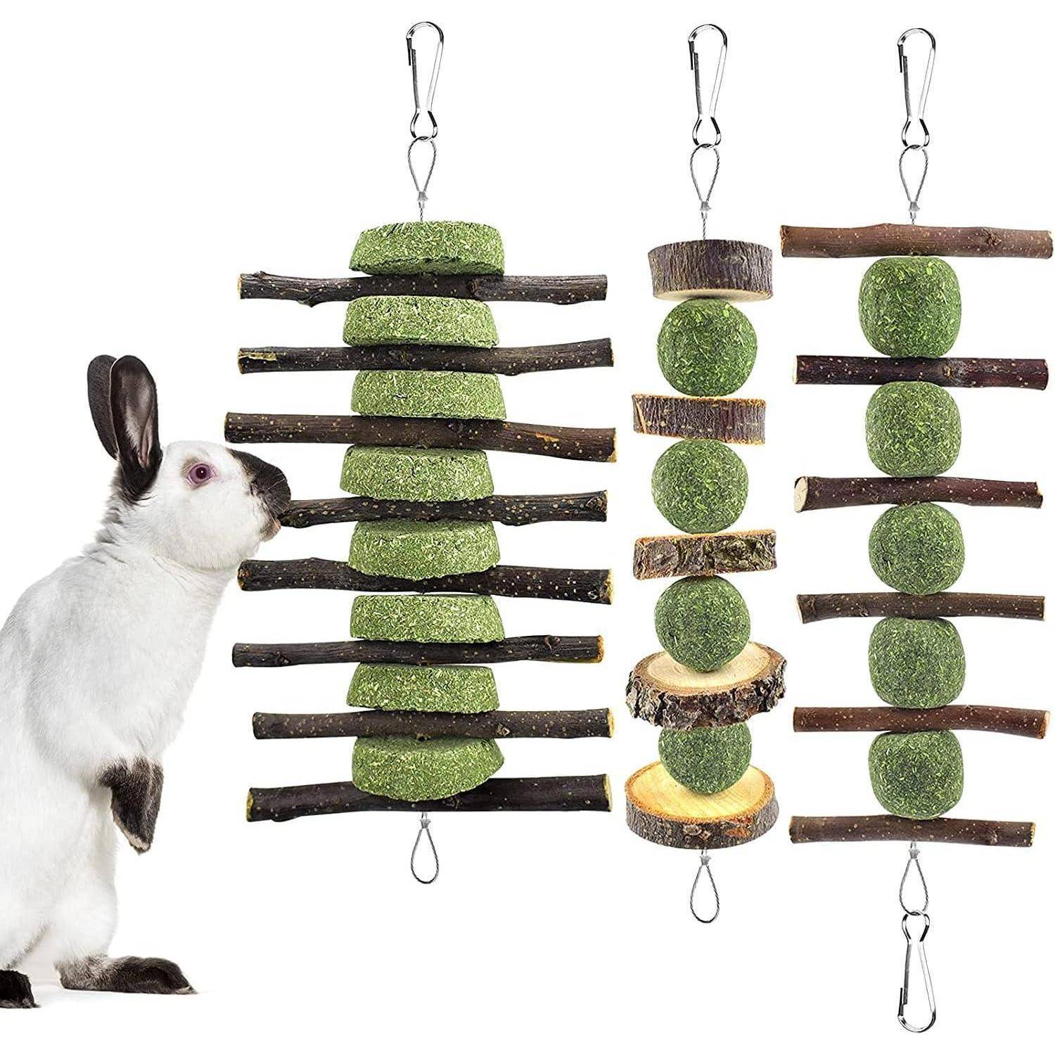 Ein Kaninchen steht neben drei aufgehängten Kautoys, bestehend aus grünen Bällen und Holzästen, die zur Beschäftigung und Gesundheitsförderung von Haustieren entwickelt wurden.