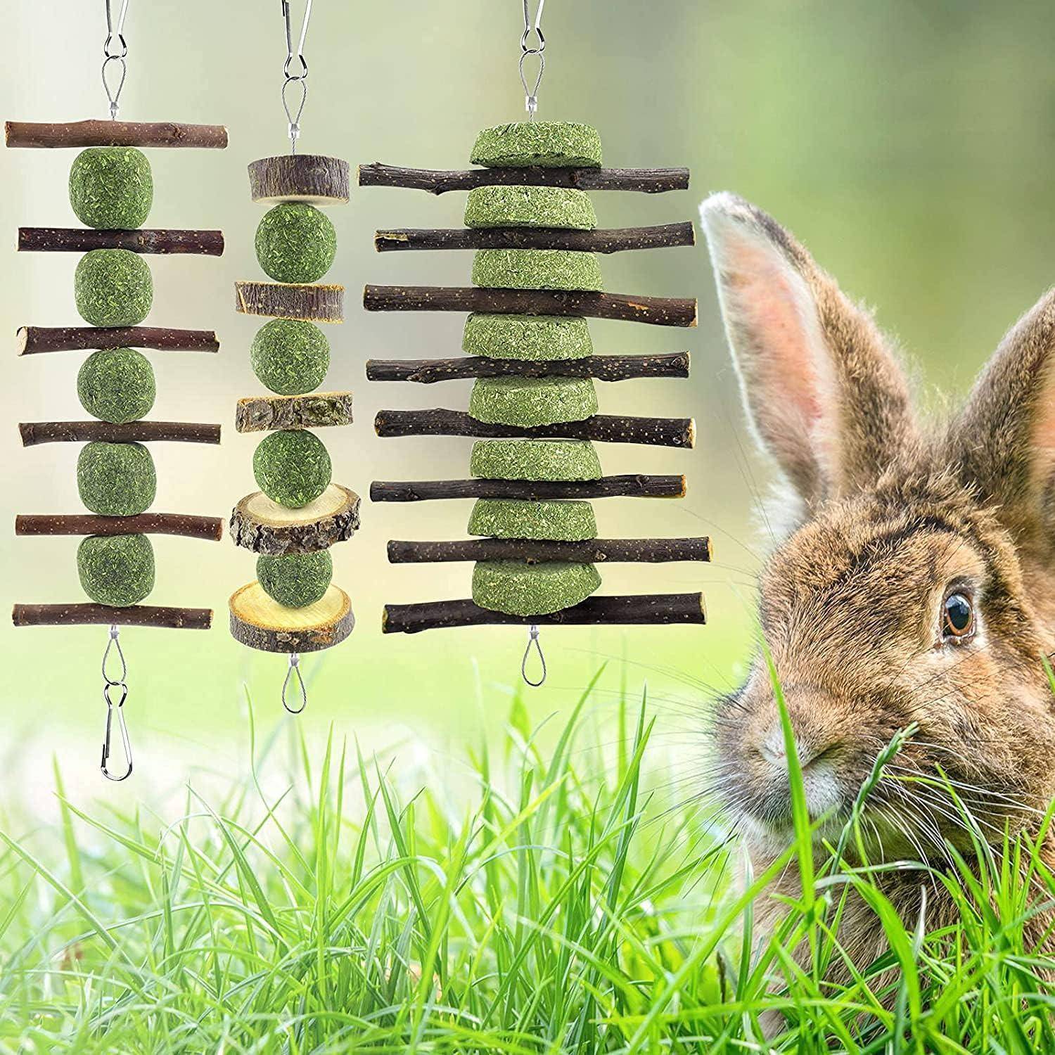 Ein Kaninchen im Gras betrachtet hängende Holz- und grüne Kauspielzeuge mit Haken, die jeweils mehrere Schichten aus Holzstäben und grünen Bällen aufweisen.