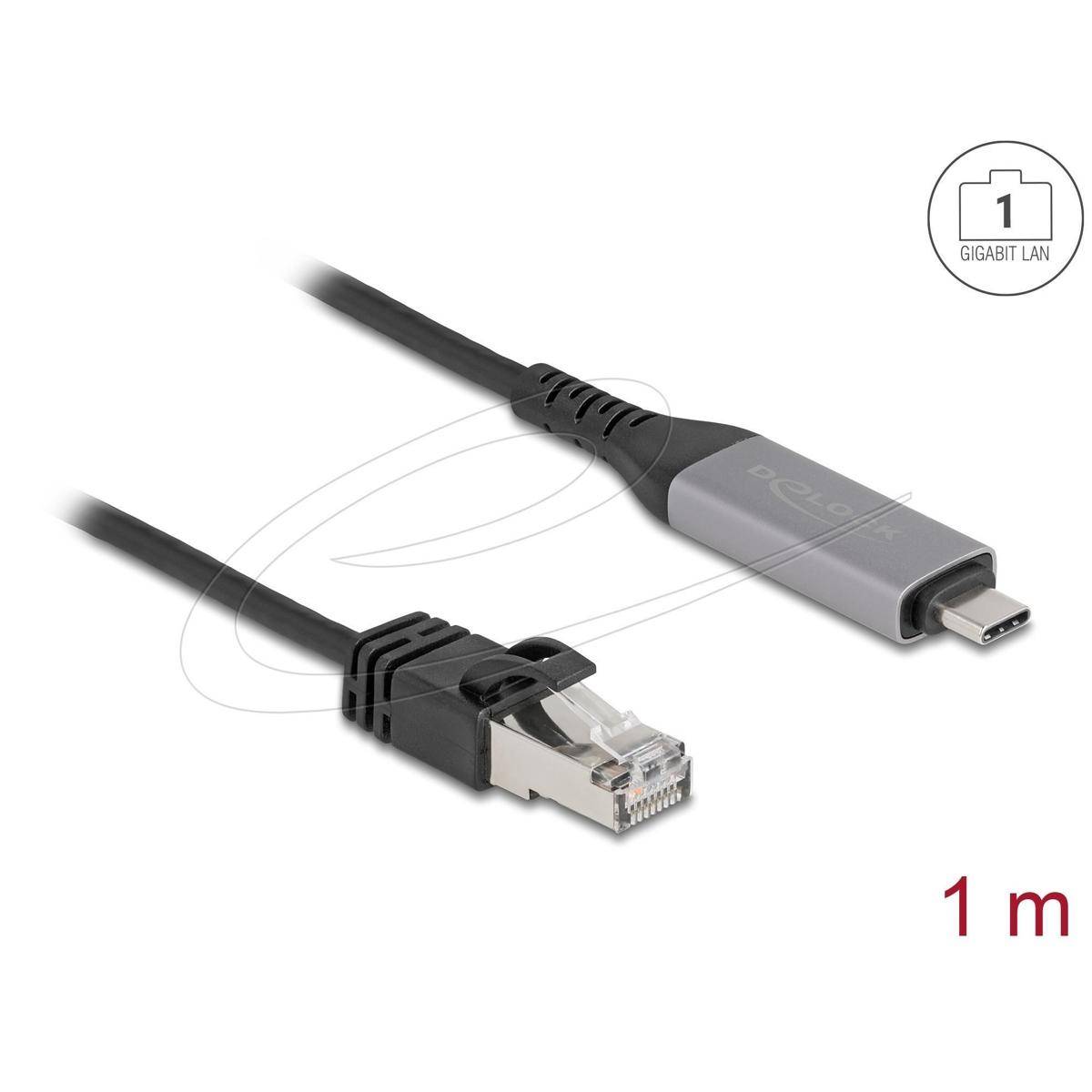 Ein-Meter-Kabel mit einem USB-C-Anschluss und einem Ethernet-Stecker, gekennzeichnet als Gigabit LAN, entwickelt für High-Speed-Internetverbindung.