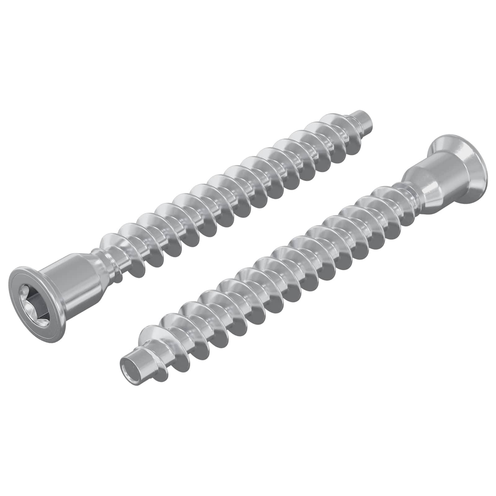 Zwei metallische Schrauben mit gewindeten Spitzen und sechseckigen Köpfen, die parallel zueinander auf einem weißen Hintergrund liegen.