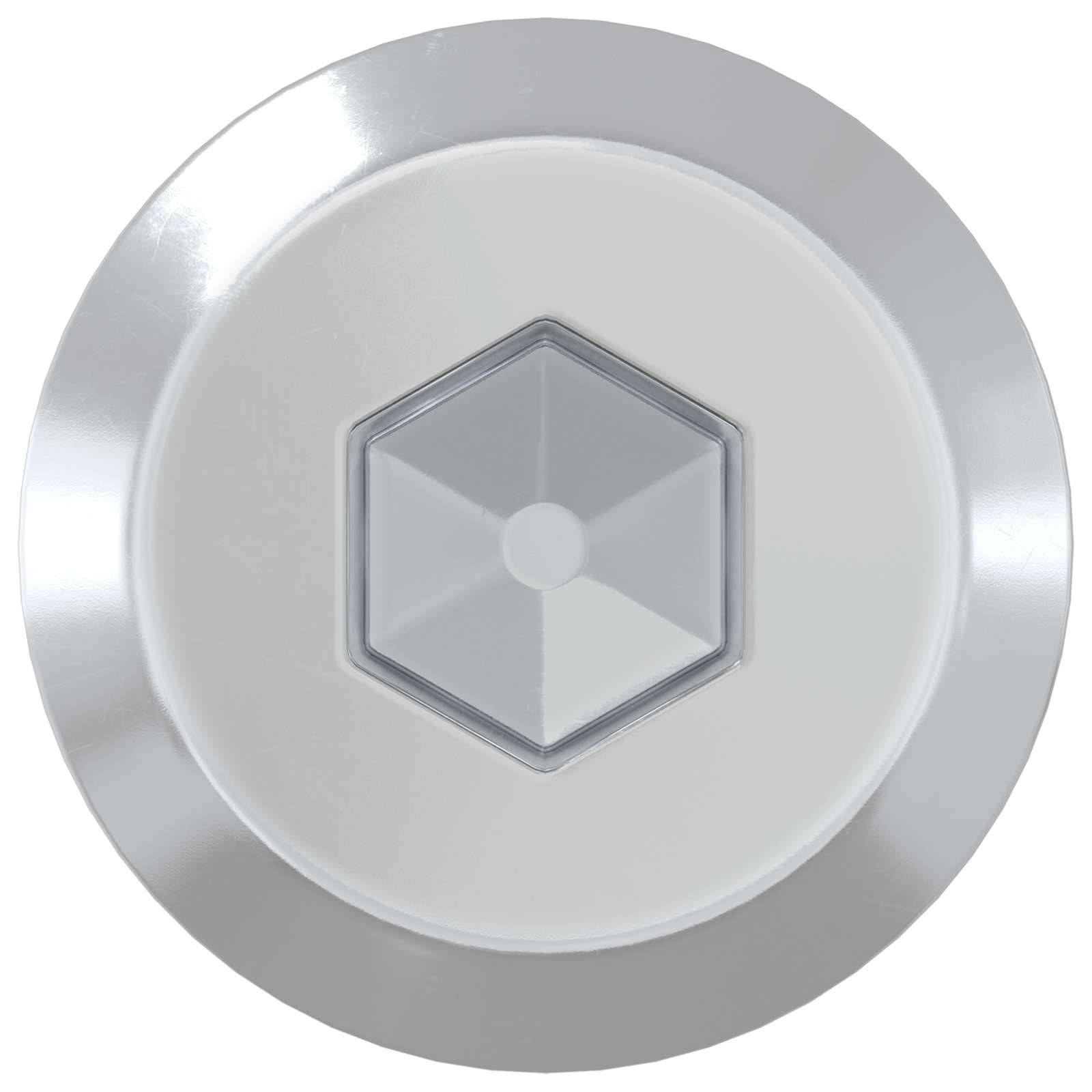 vidaXL Möbel-Schrauben 12 pcs Silber M6 x 100 mm Stahl