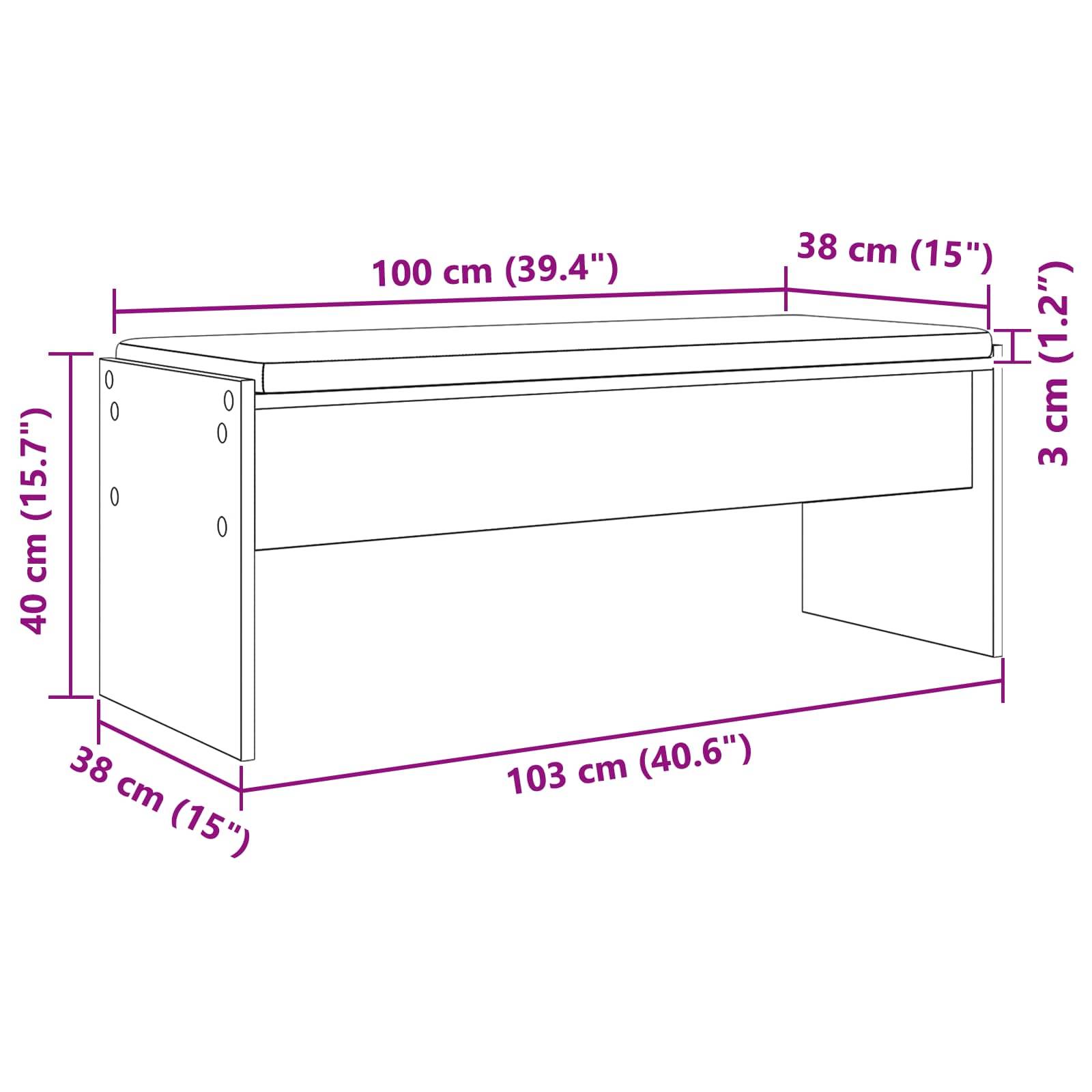 Diagramm einer rechteckigen Bank mit Maßen: 100 cm Länge, 38 cm Breite, 40 cm Höhe. Zusätzliche Brette mit 3 cm Tiefe auf der Oberseite.