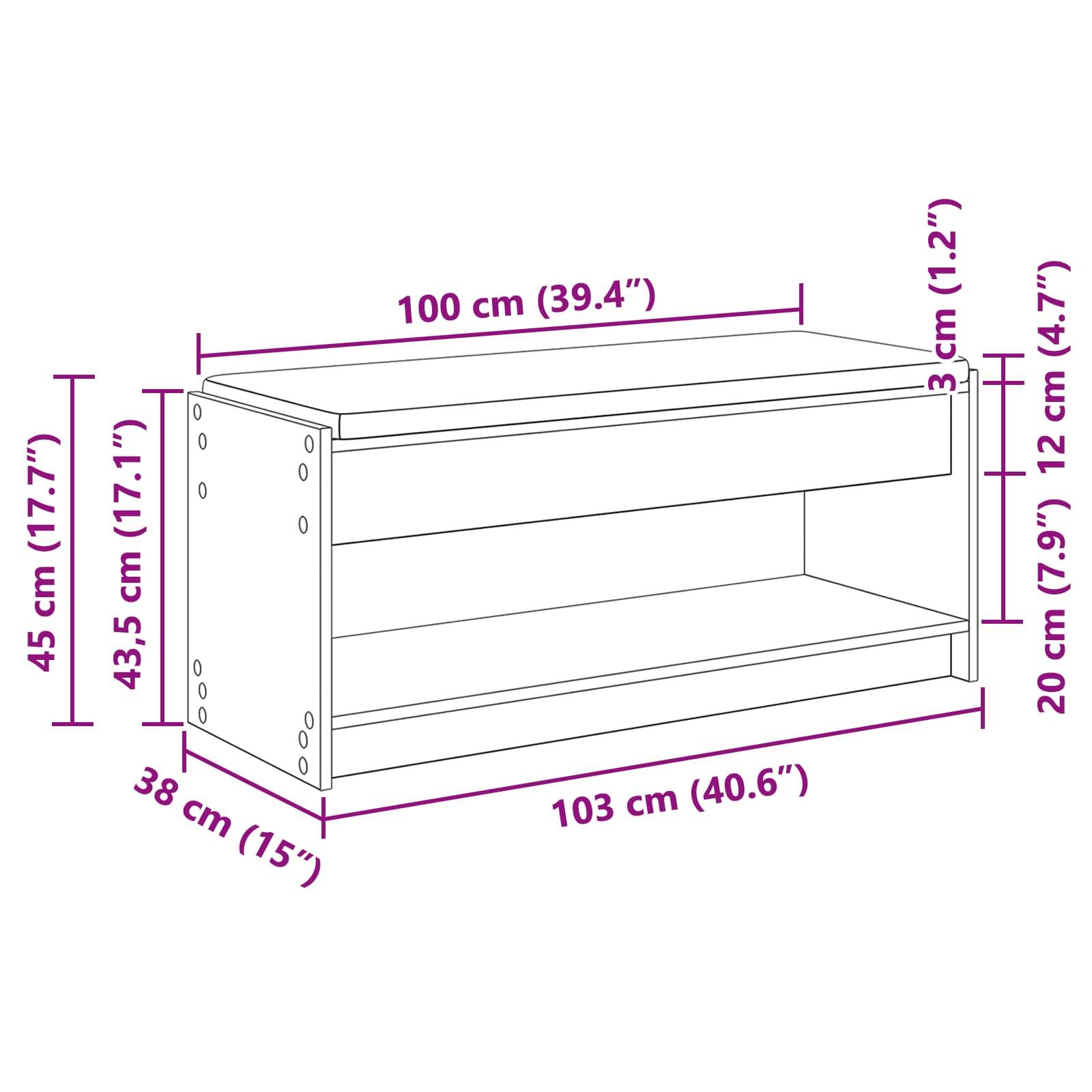 Möbeldiagramm mit Abmessungen: 100 cm breit, 45 cm hoch, 38 cm tief. Zusätzliche Maße: 3 cm, 12 cm, 20 cm, 43,5 cm.