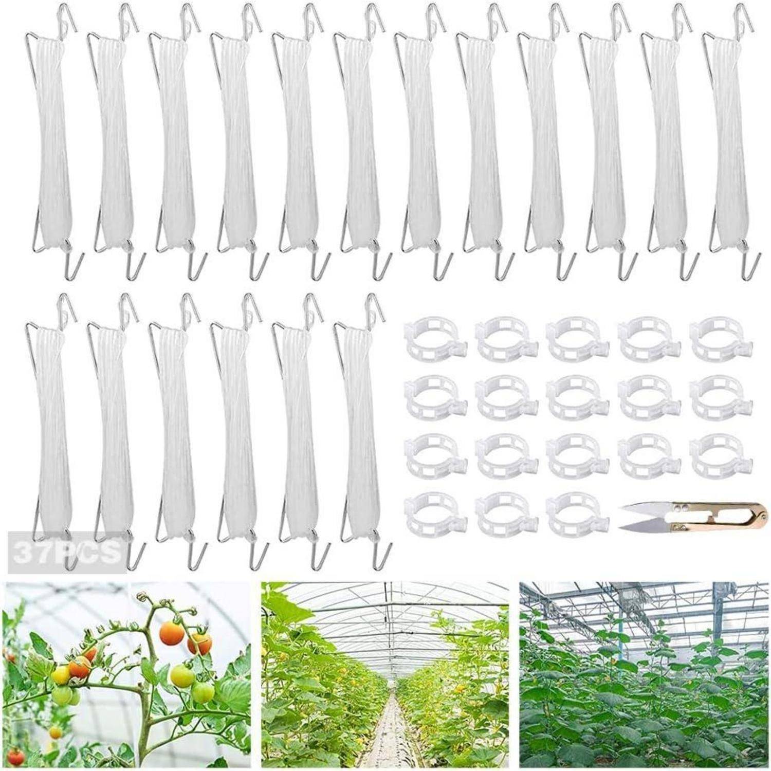 Set zur Pflanzenunterstützung für Gewächshaus mit 37 Rankschnüren mit Haken, zahlreichen Pflanzenklammern und Gartenscheren, ideal für Kletterpflanzen.