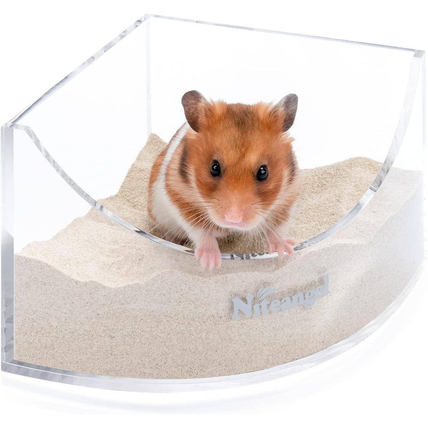 Ein Hamster schaut über den Rand eines durchsichtigen, geschwungenen Behälters, der mit Sand gefüllt ist. Der Behälter trägt den Markennamen 'Niteangel.