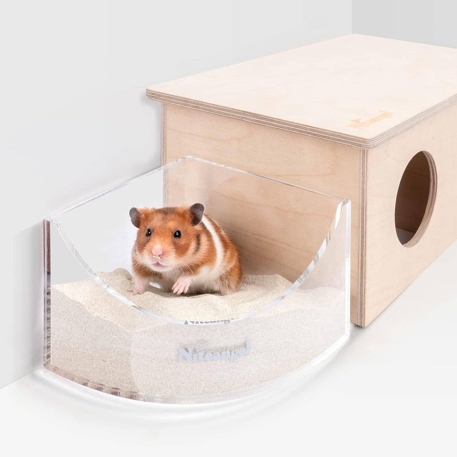 Ein Hamster sitzt in einem transparenten, mit Sand gefüllten Gehege neben einem Holzhaus mit einem kreisrunden Eingang.