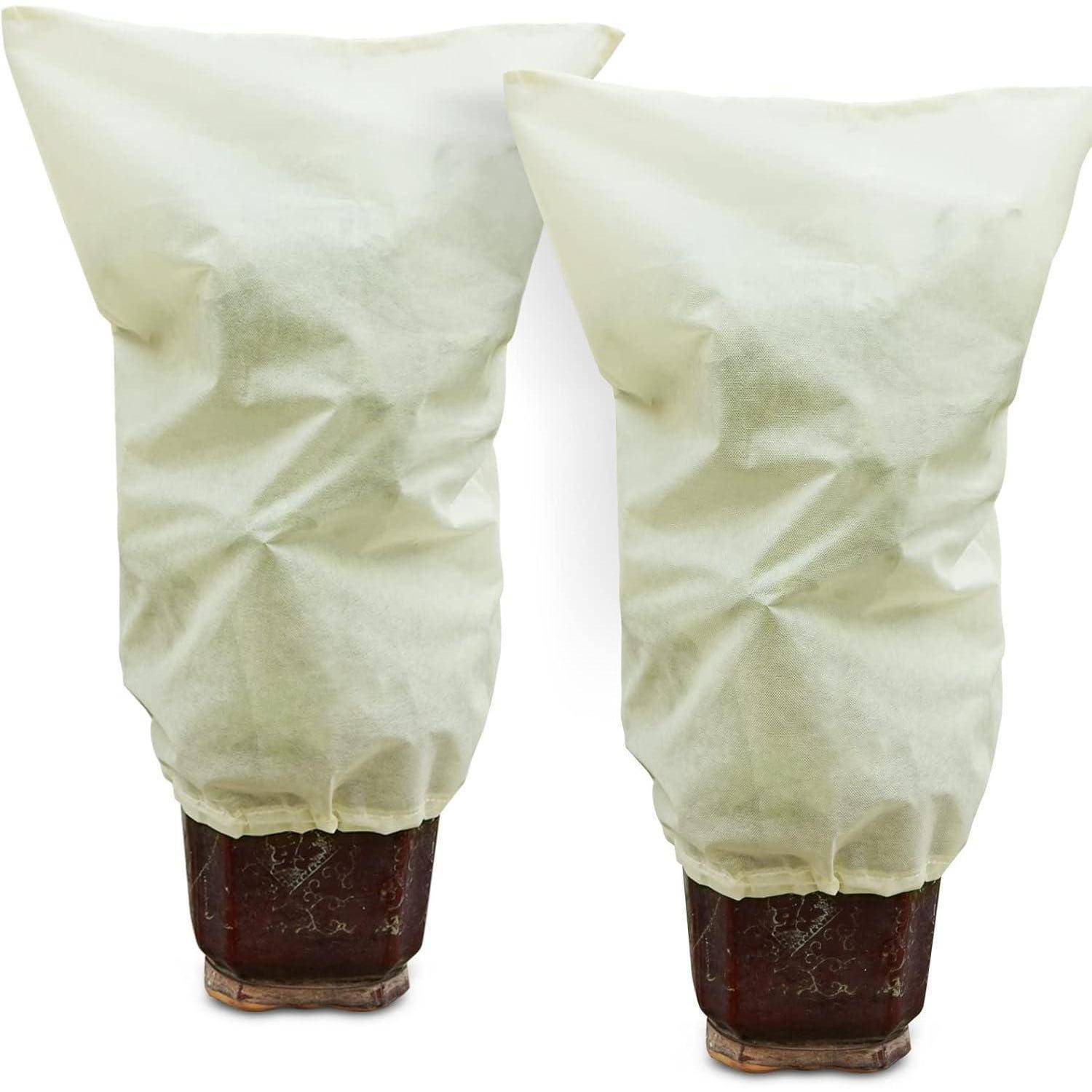 Zwei Topfpflanzen, die mit Frostschutzhüllen bedeckt sind und so vor kaltem Wetter geschützt werden.