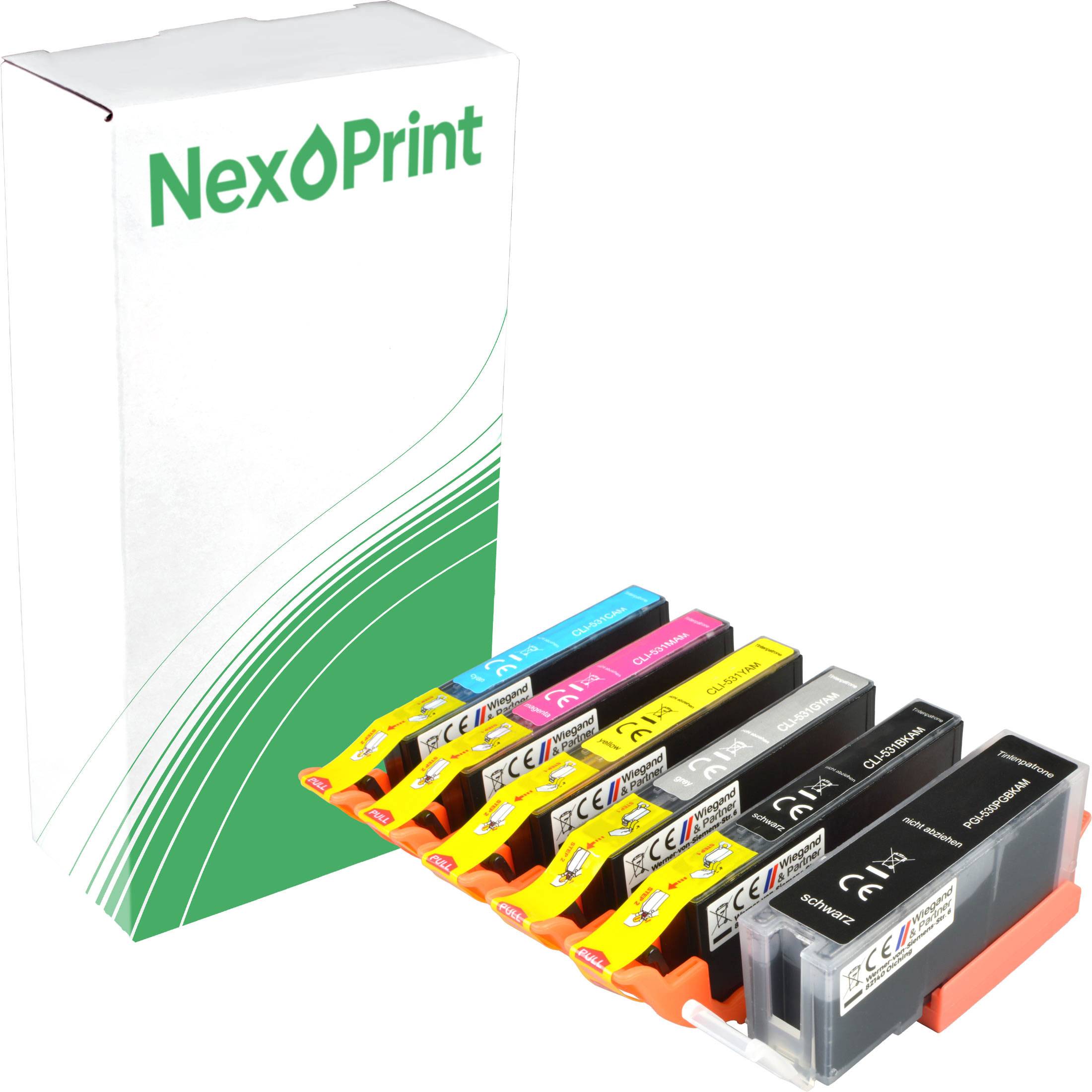 Ein Paket NexPrint-Druckerpatronen in verschiedenen Farben, neben der Schachtel mit dekorativen grünen Linien und Logo angezeigt.