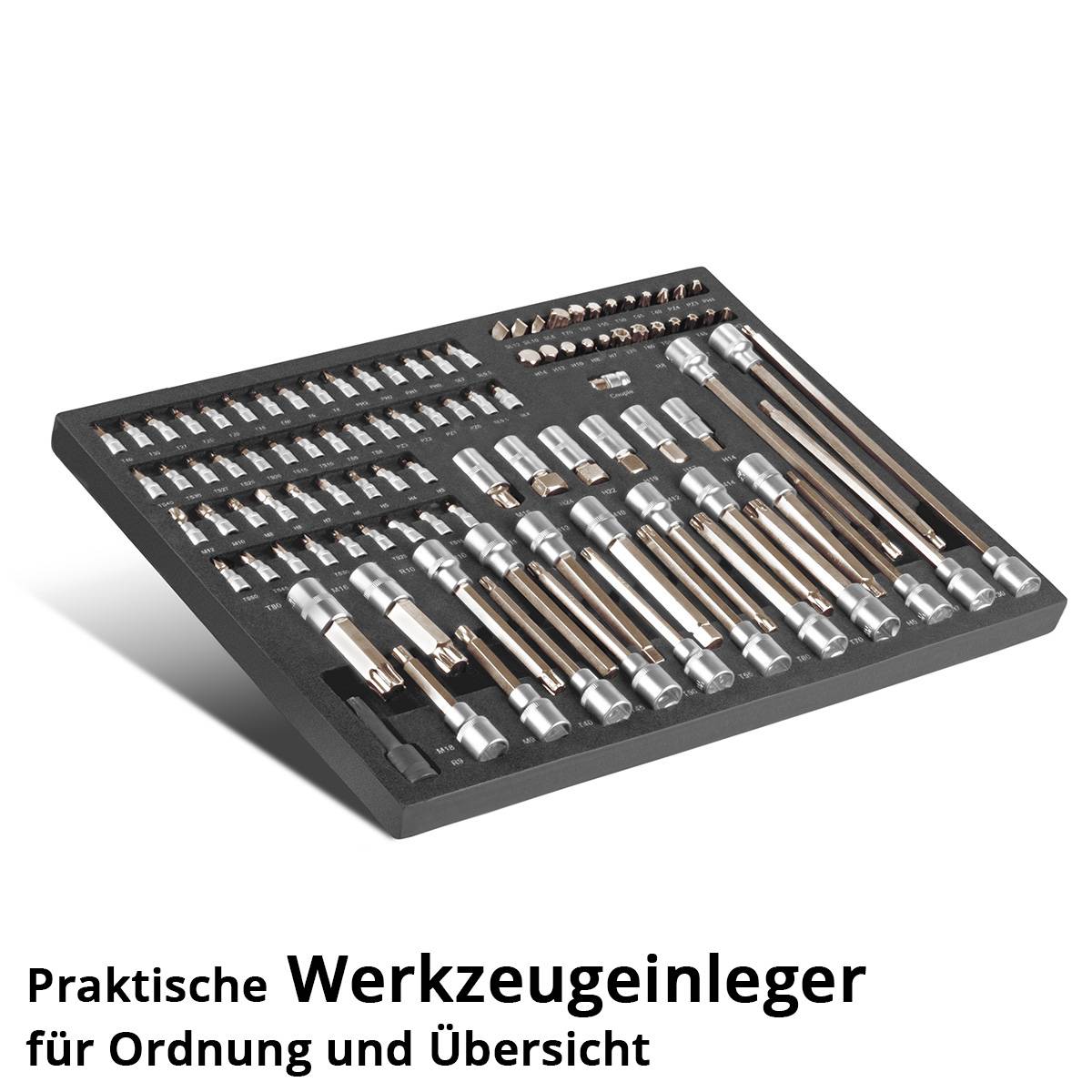 Praktische Werkzeugeinleger für Ordnung und Übersicht' präsentiert einen sauber arrangierten Satz von Werkzeugen in einem schwarzen Schaumstoffeinsatz und fördert die Organisation.