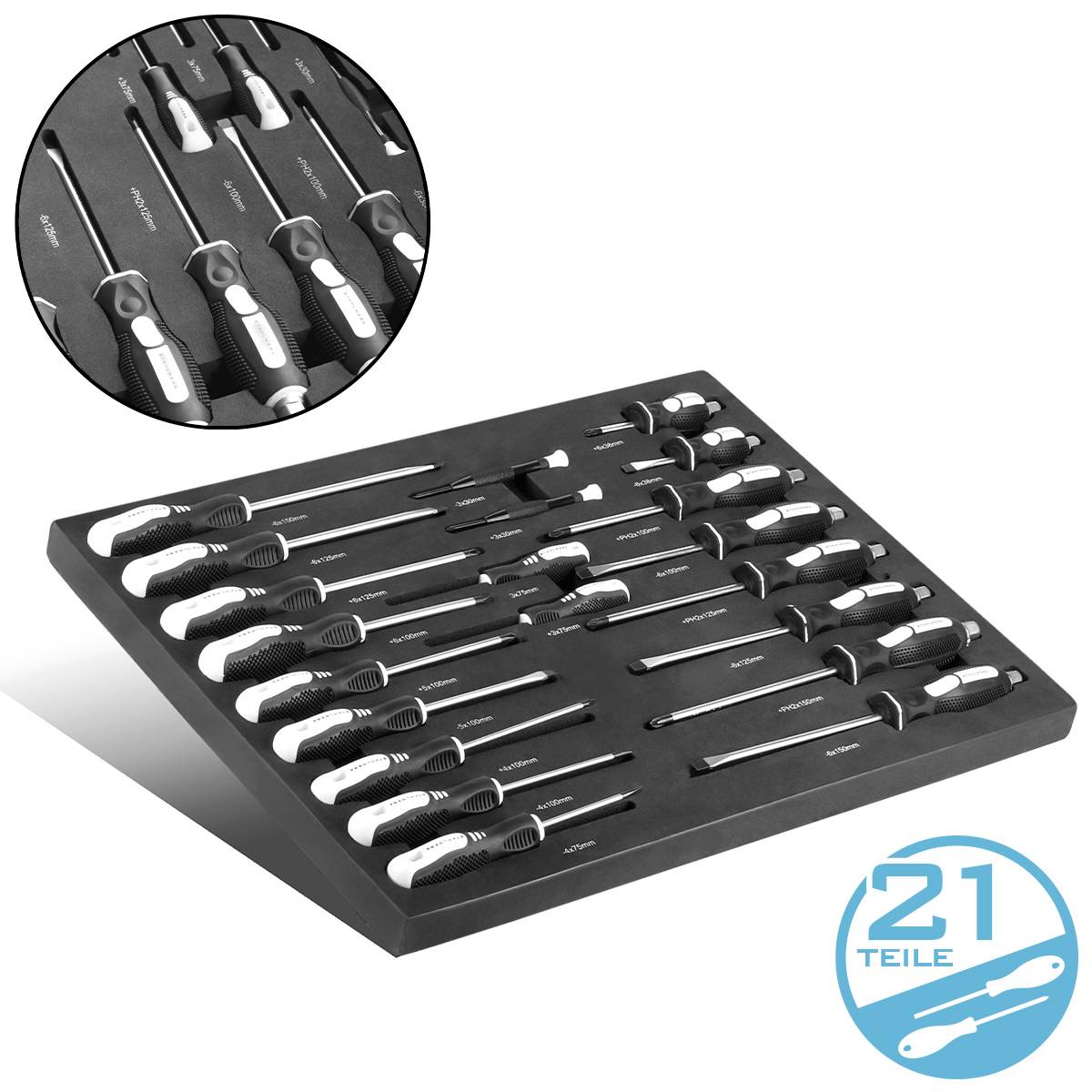 Ein sorgfältig angeordneter Satz von 21 Schraubenziehern in einem Schaumstoffeinsatz, wobei jeder Platz beschriftet ist. Kreisförmiger Ausschnitt zeigt Nahaufnahme der Schlitze und Griffe.