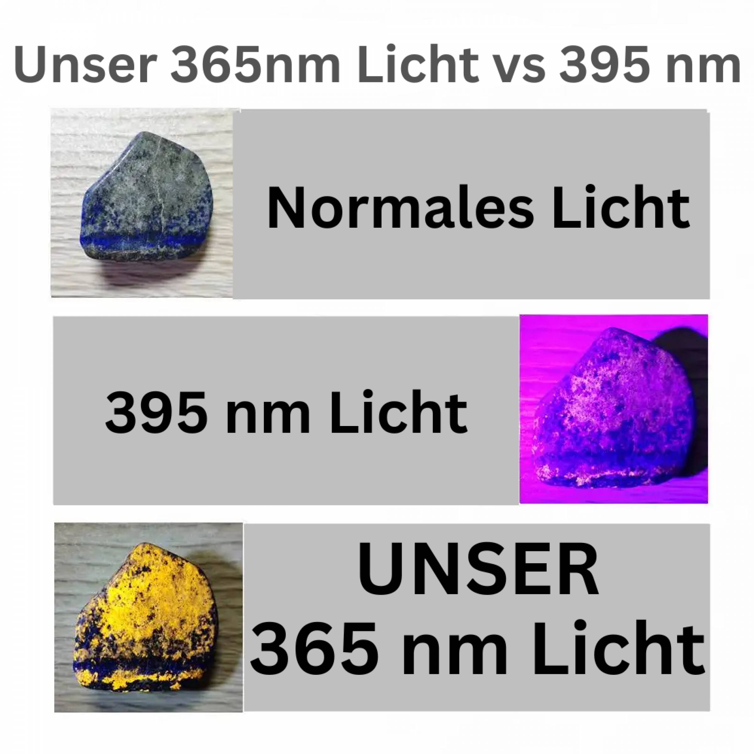 Vergleich von drei Beleuchtungsbedingungen an einem Mineral: 'Normales Licht' zeigt eine reguläre Erscheinung, '395 nm Licht' zeigt einen leichten Glanz, und 'UNSER 365 nm Licht' zeigt eine helle Fluoreszenz.