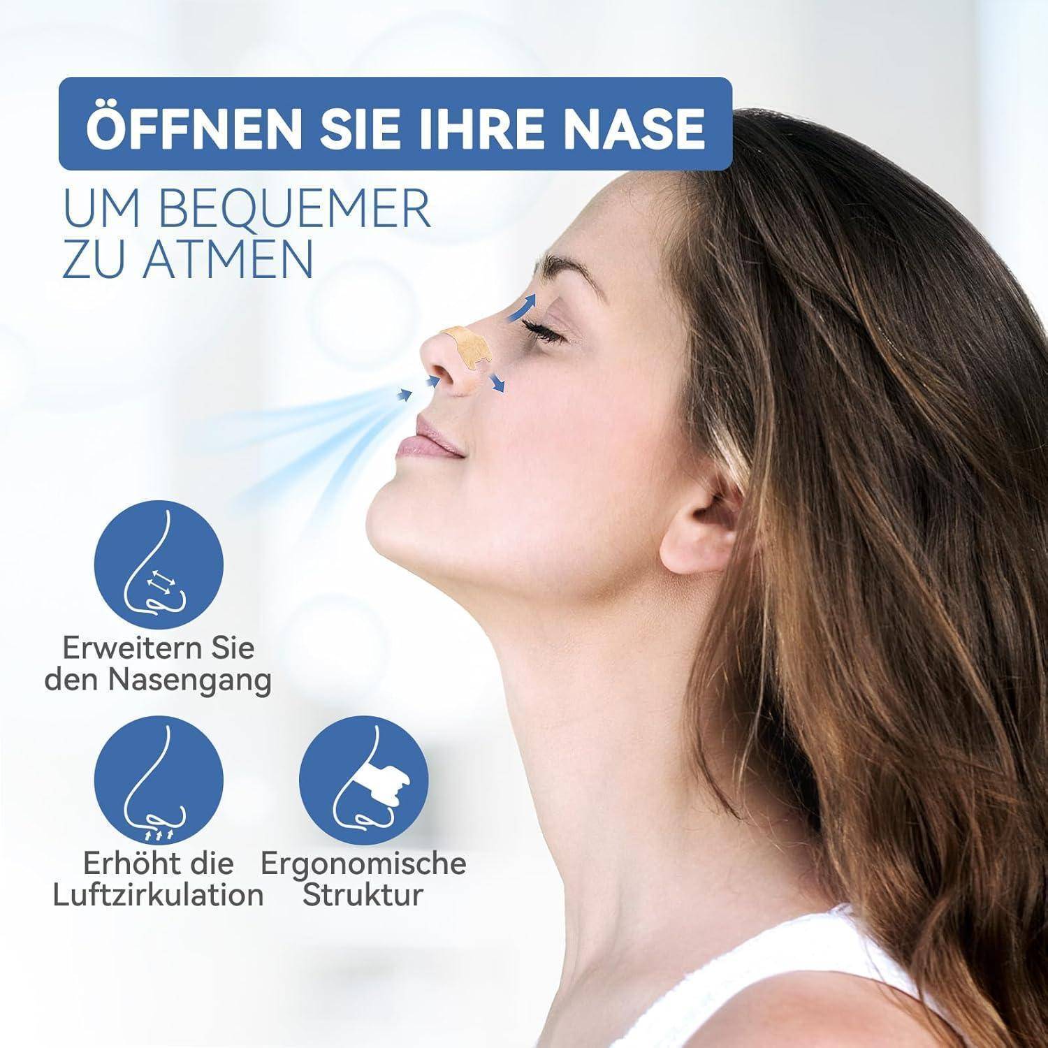 Der Text 