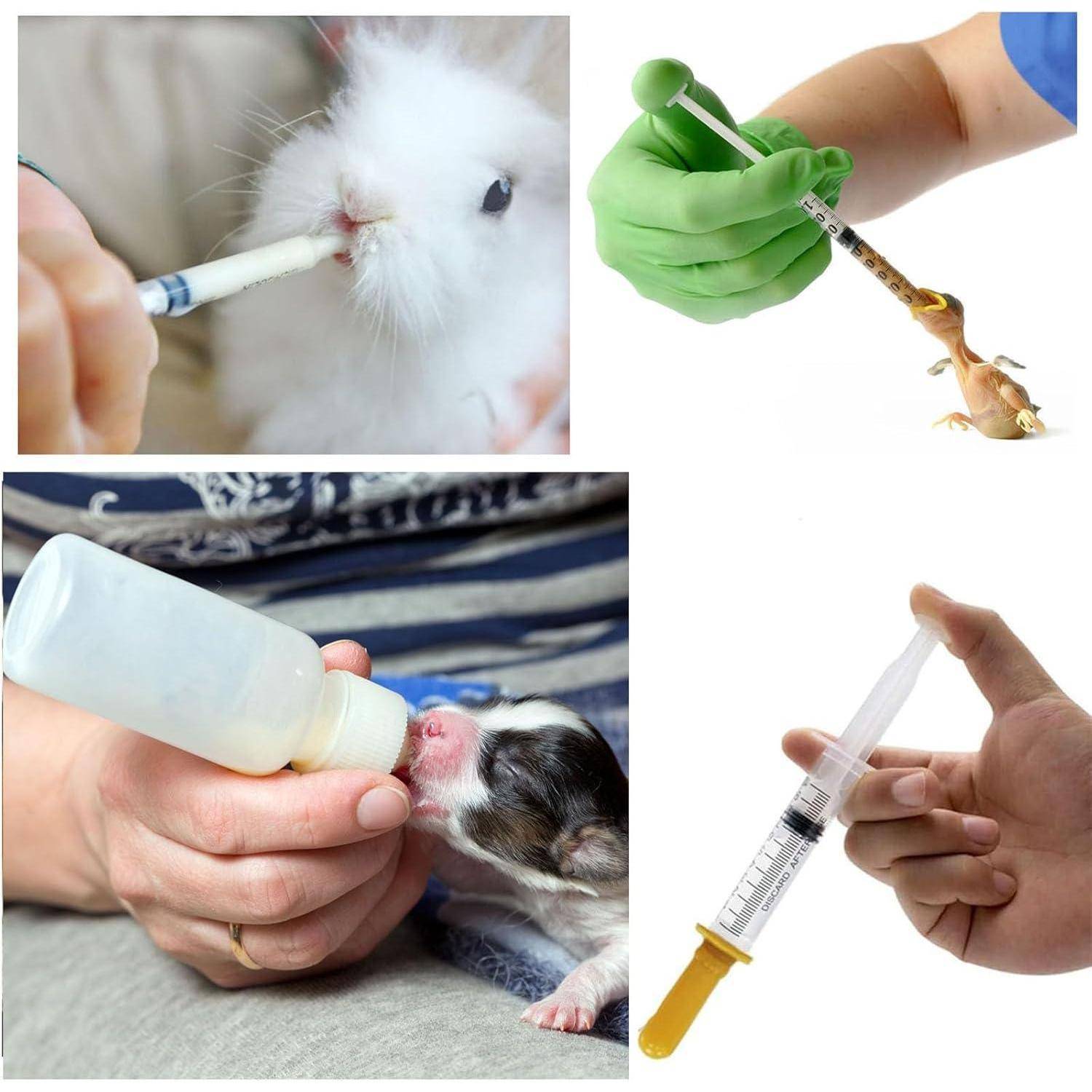 Eine Person füttert ein Kaninchen und einen Welpen mit einer Flasche und einer Spritze. Hände halten Spritzen, eine in einem grünen Handschuh, die einem kleinen Tier verabreicht wird.