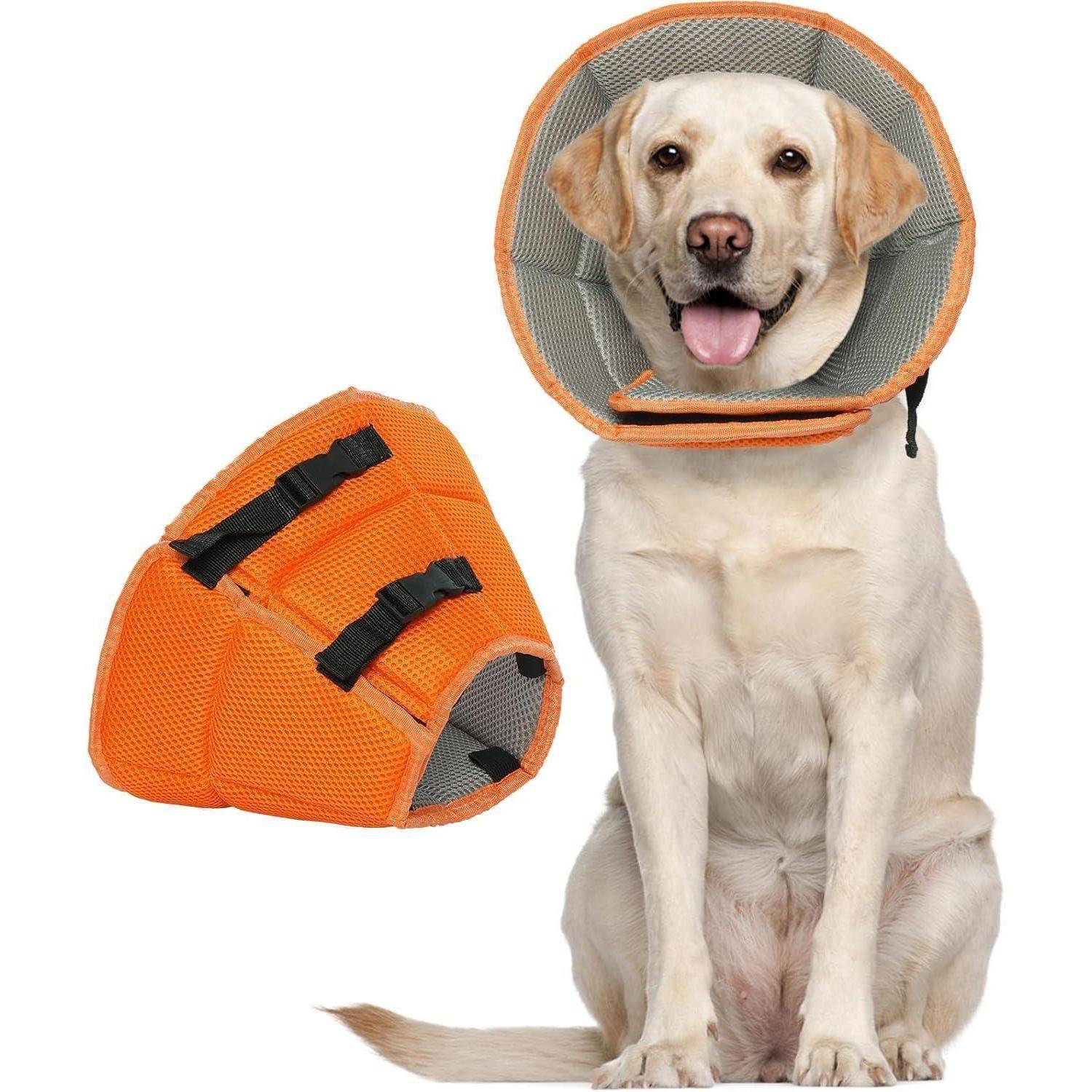 Ein lächelnder Hund, der einen orangefarbenen Schutzkragen trägt, wobei der gleiche Kragen separat daneben gezeigt wird.