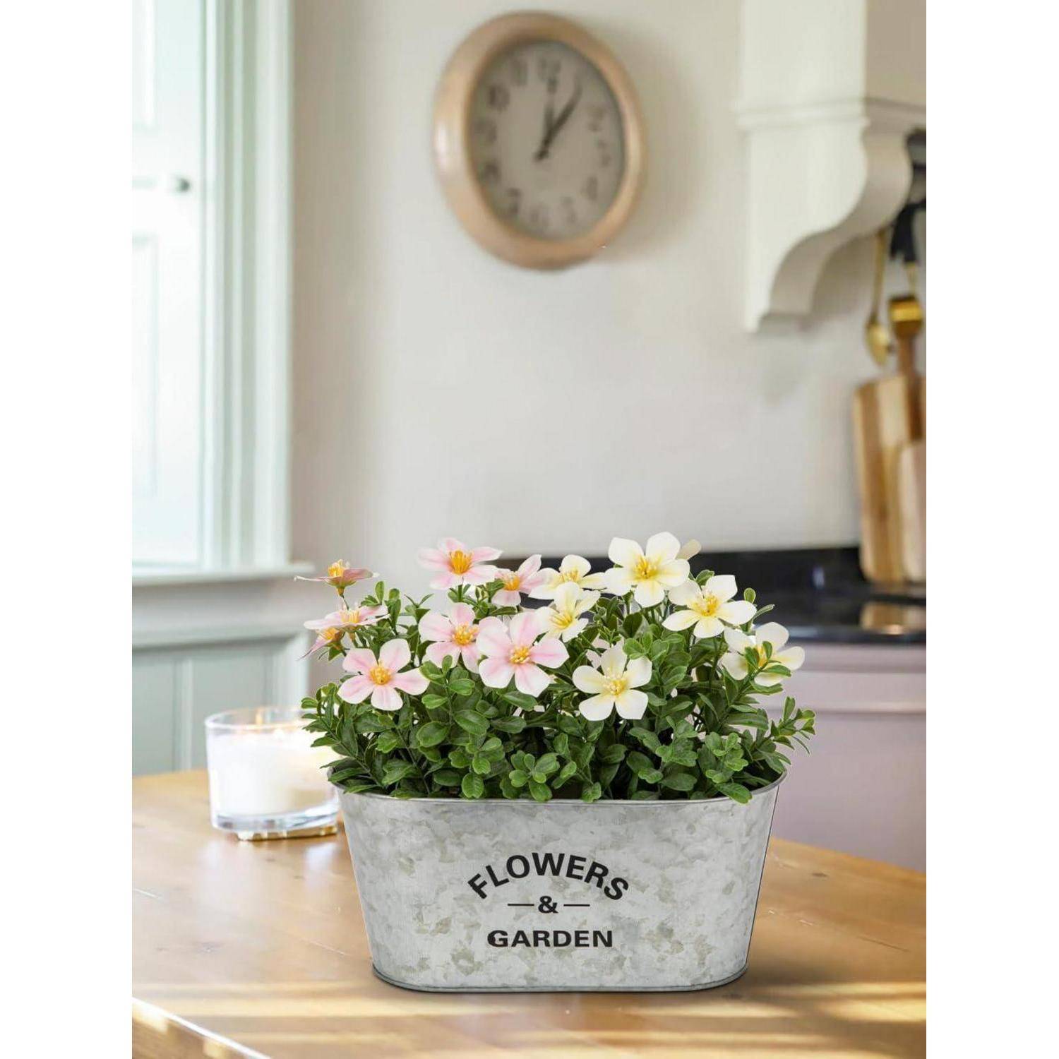 Eine Zimmerpflanze mit kleinen weißen und rosa Blüten steht auf einem Holztisch in einer gemütlichen Küche, mit einer Kerze und einer Uhr im Hintergrund.