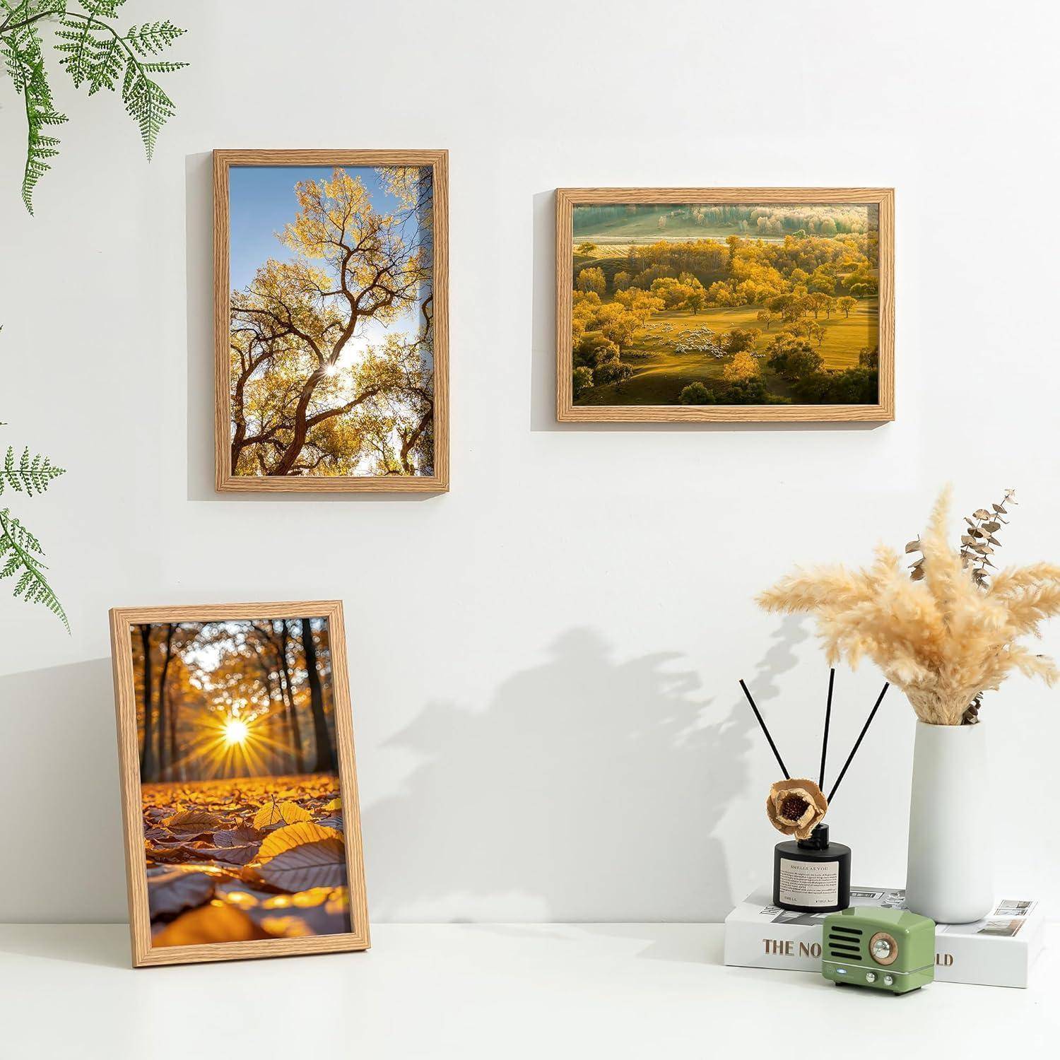 Eine weiße Wand zeigt drei gerahmte Naturfotos: einen Baum, einen Hügelhang und einen sonnendurchfluteten Wald. Ein kleines Regal trägt eine Pflanze und Dekorationsgegenstände.