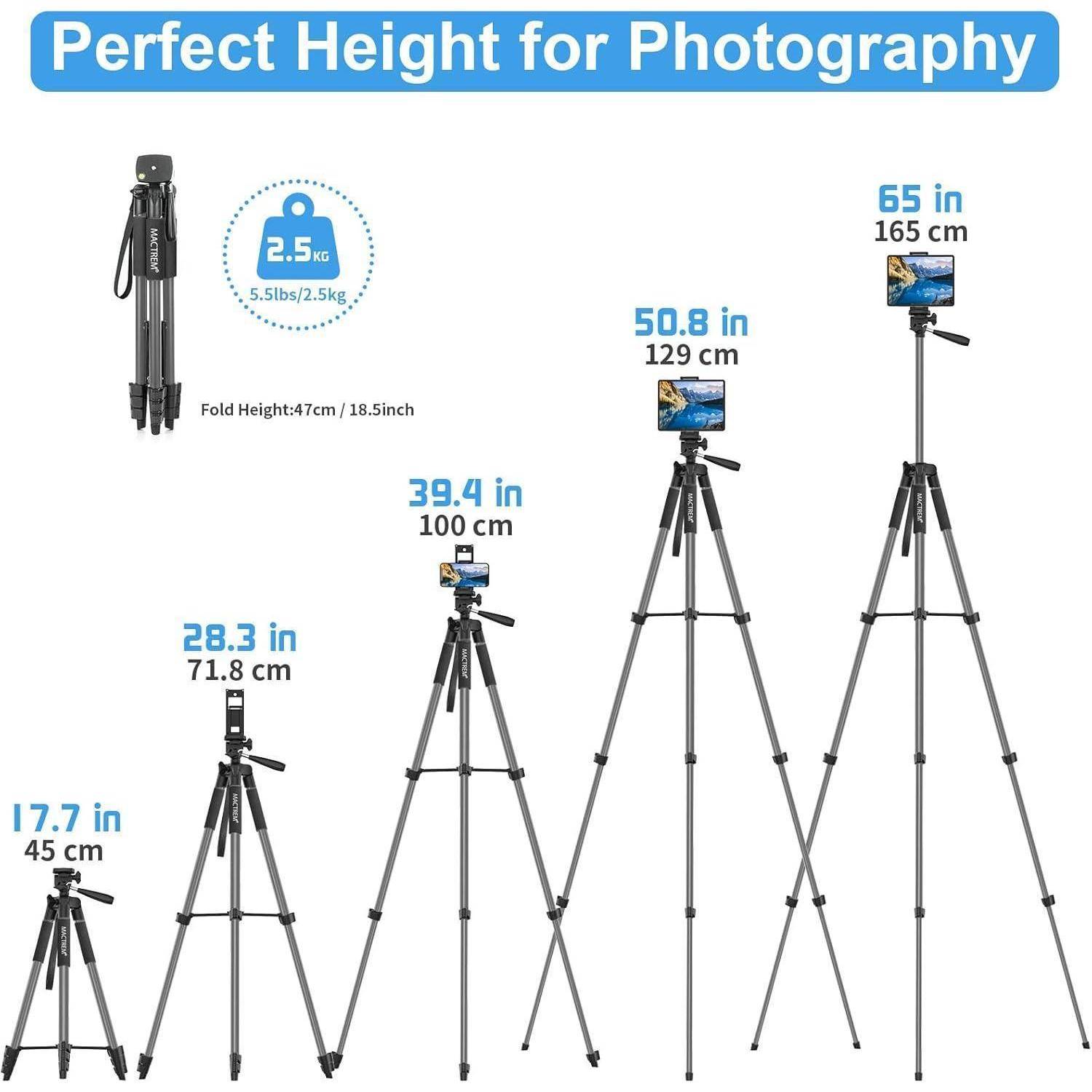Perfekte Höhe für Fotografie' Grafik mit vier Stative und folgenden Höhen: 17,7 Zoll (45 cm), 28,3 Zoll (71,8 cm), 39,4 Zoll (100 cm), 50,8 Zoll (129 cm) und 65 Zoll (165 cm).
