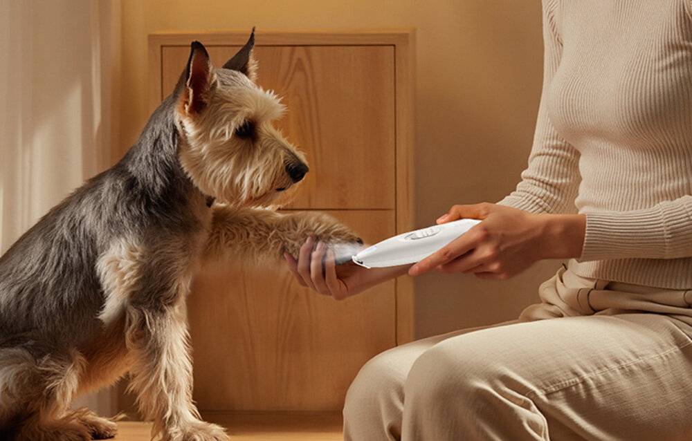 Rojeco LED-Trimmer/Maschine für Haustiere