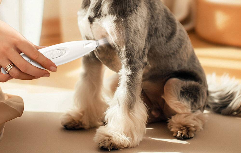 Rojeco LED-Trimmer/Maschine für Haustiere