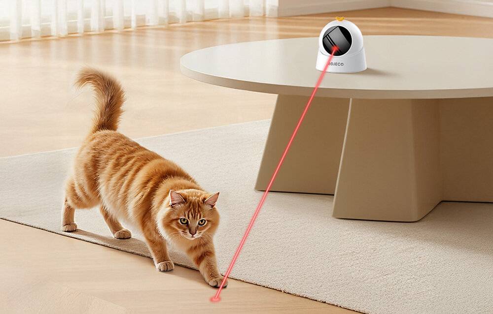 Eine Katze verfolgt einen roten Laserpunkt, der von einem kleinen Gerät auf einem runden Tisch projiziert wird. Der Raum hat Holzböden und eine warme Atmosphäre.