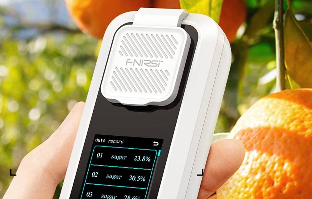 Eine Hand hält ein tragbares digitales Gerät, das einen Bildschirm mit Datum und Zuckerwerten anzeigt. Im Hintergrund sind leuchtend orange Früchte und Blätter zu sehen.