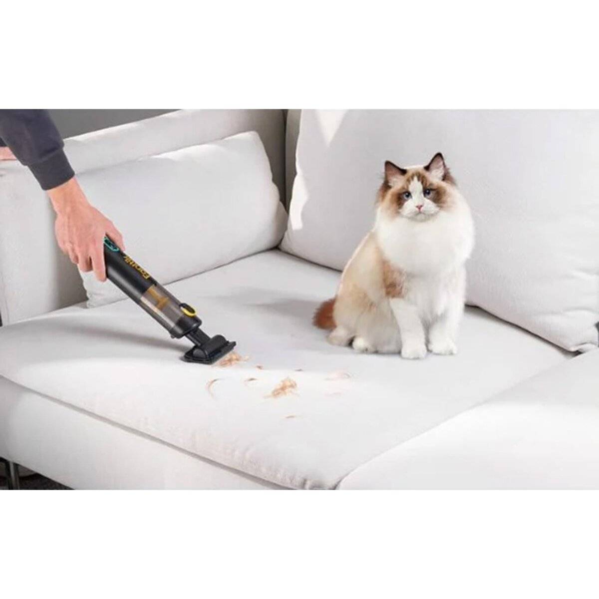Eine Person nutzt einen tragbaren Staubsauger, um Tierhaare von einem weißen Sofa zu entfernen, während eine flauschige Katze neben dem Durcheinander sitzt.