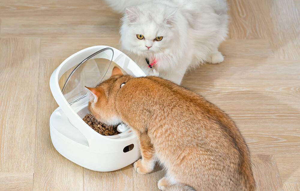 Petoneer NutriCare intelligenter Futterspender