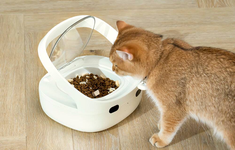 Petoneer NutriCare intelligenter Futterspender