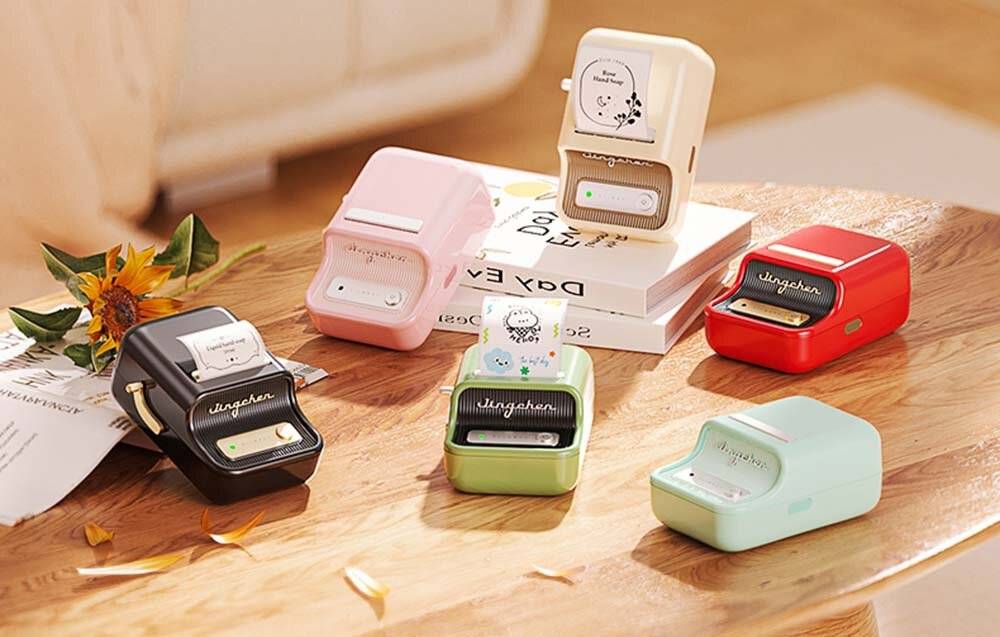 Niimbot B21S Tragbarer Etikettendrucker (neuwertig)