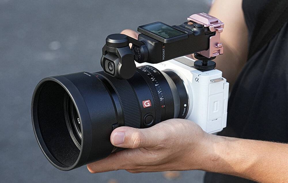 Sunnylife 1/4'' Schnellhalterung mit Katzenohren für OP 3 (rosa)