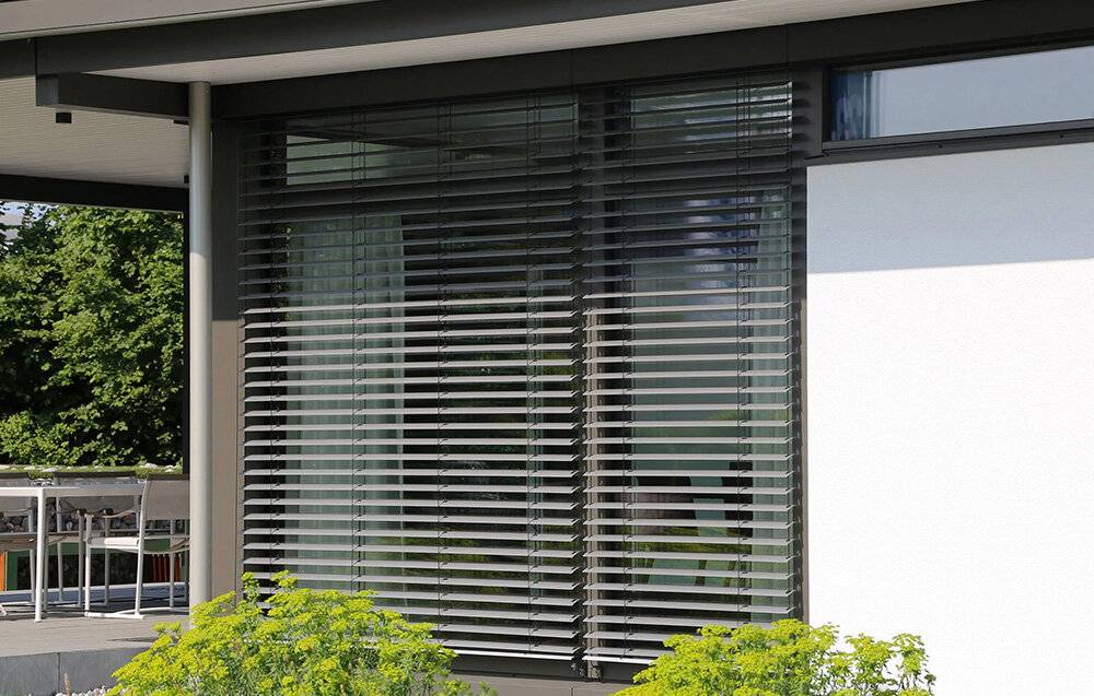 Ein großes Fenster mit horizontal angebrachten Jalousien, die leicht geöffnet sind und einen Hauch von Grün draußen enthüllen. Büsche sind vor dem Fenster sichtbar.