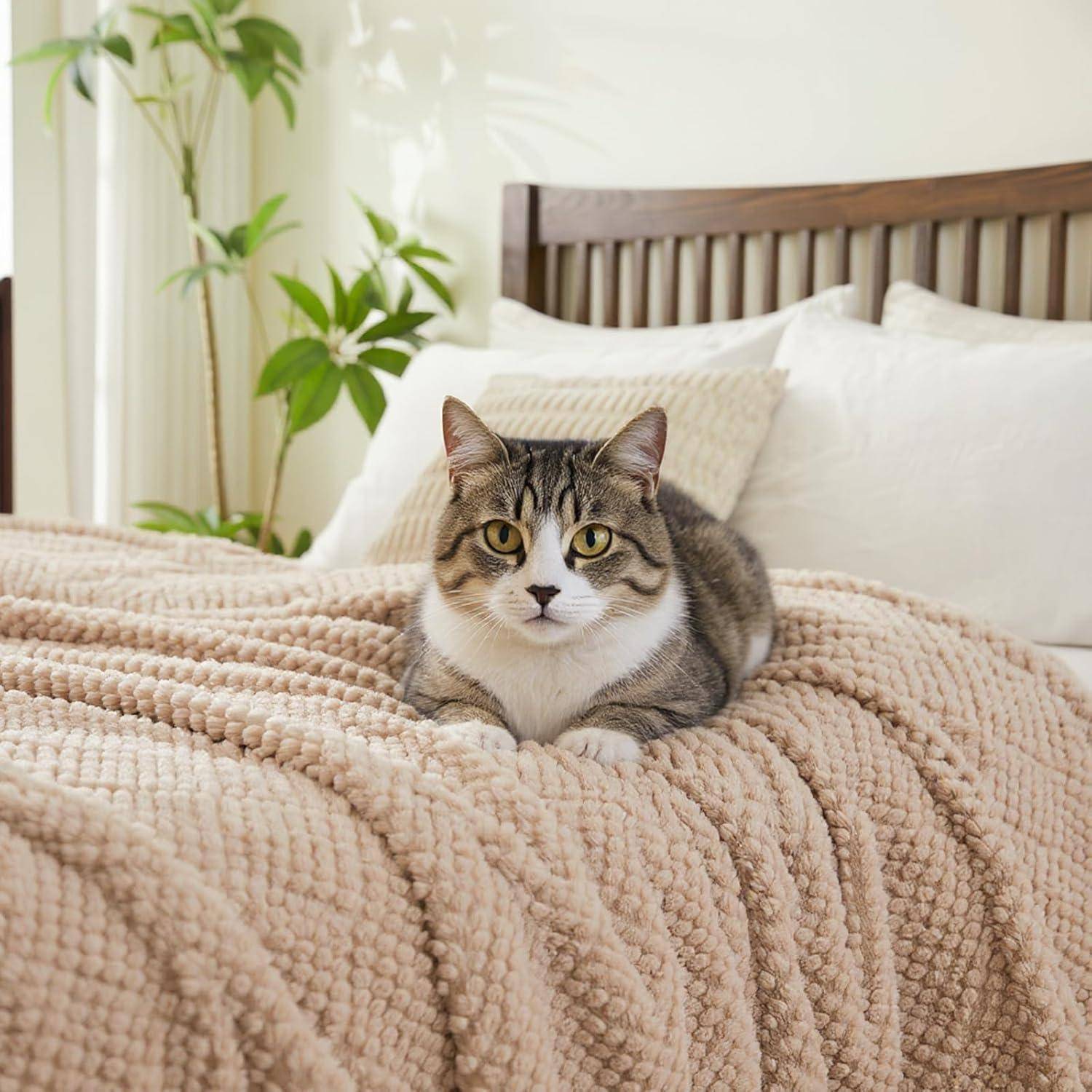 Eine getigerte Katze sitzt auf einer strukturierten beigen Decke auf einem Bett mit weißen Kissen und einem Kopfteil aus Holz. Eine Topfpflanze ist im Hintergrund.
