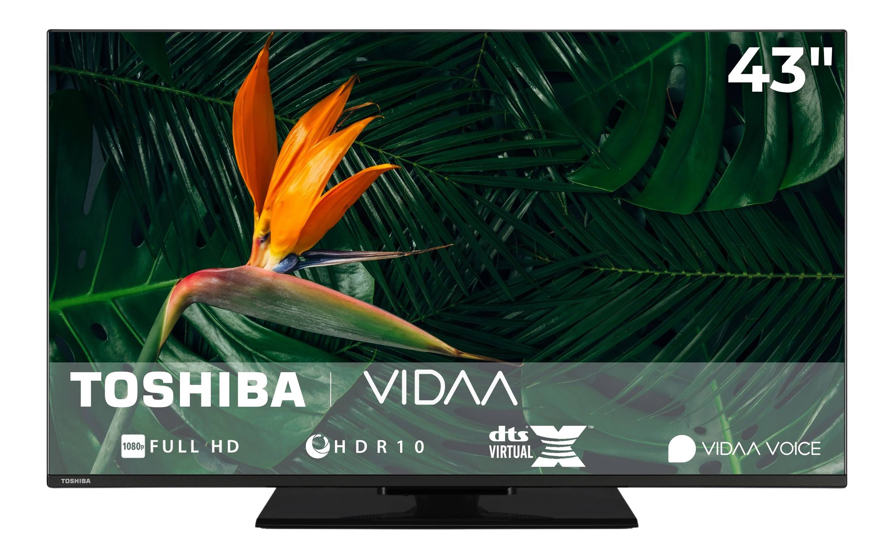 Ein Fernseher, auf dem lebendige grüne Blätter und eine orangefarbene Paradiesvogelblume angezeigt werden, mit TOSHIBA-, VIDAA- und Technologielogs am unteren Rand.