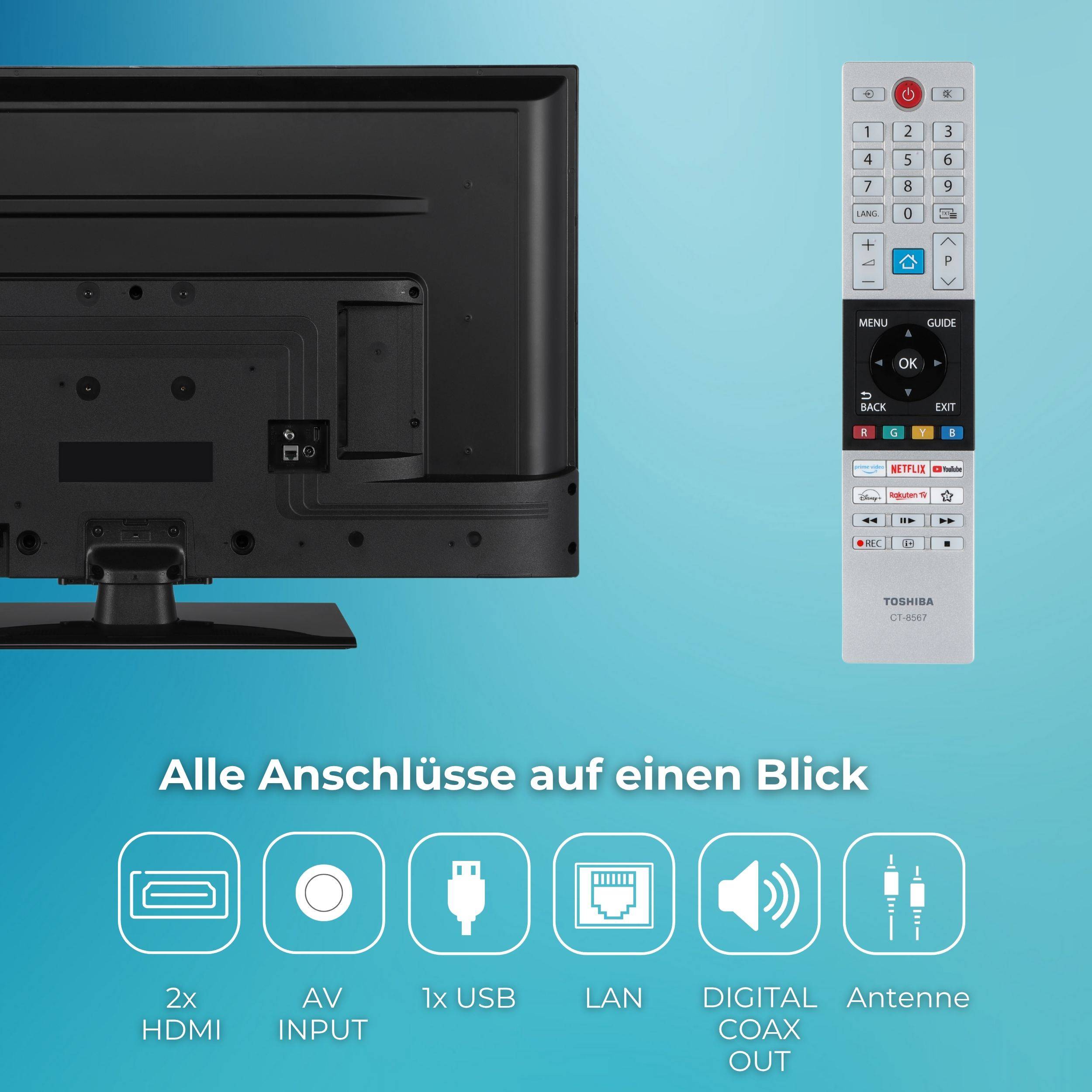 Ein Fernseher und eine Fernbedienung werden angezeigt. Darunter kennzeichnen Symbole HDMI-, AV-, USB-, LAN-, Digitalton- und Antennenverbindungen in deutscher Sprache.