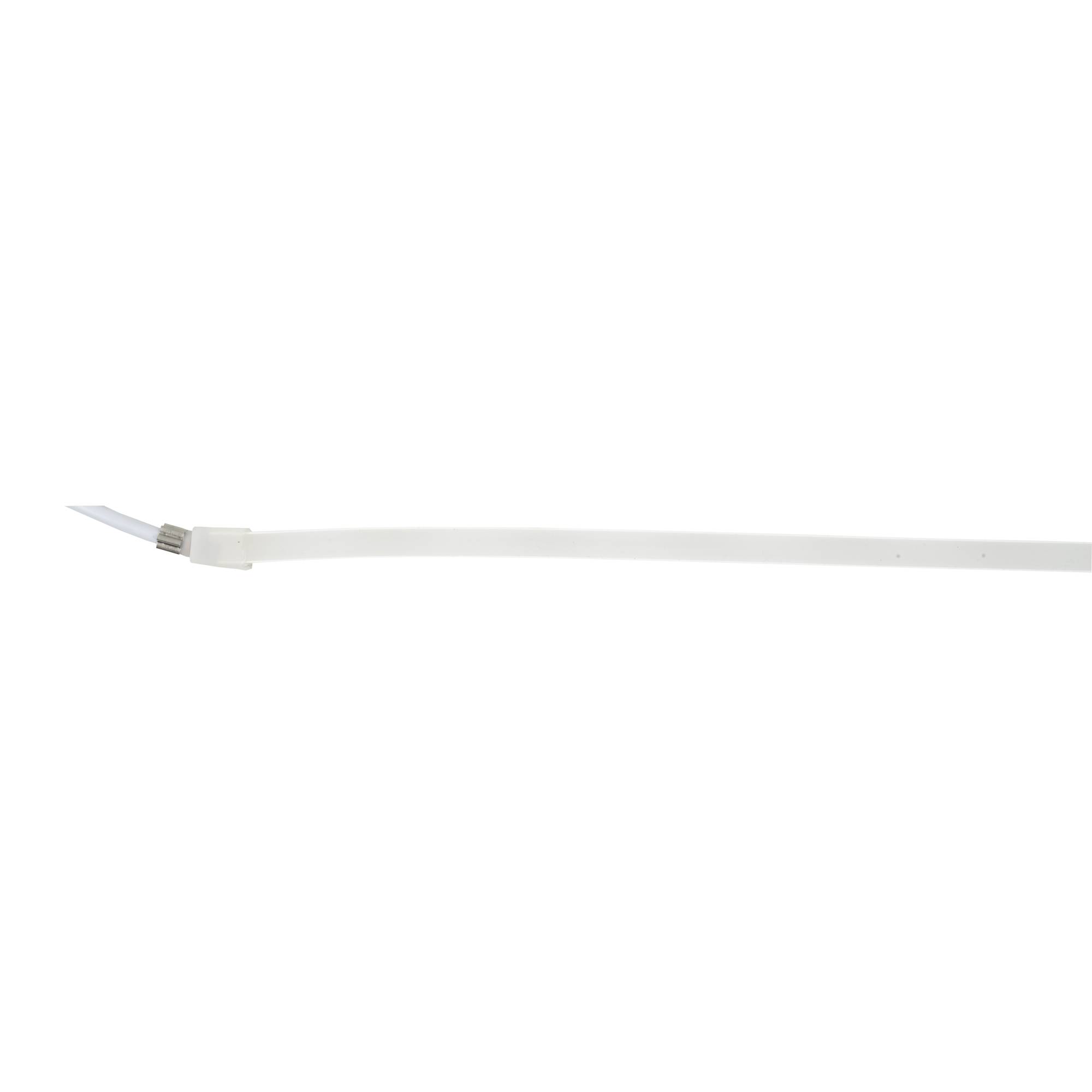 Ein langer, schlanker weißer Stab mit einer scharfen, abgewinkelten Spitze vor schwarzem Hintergrund.