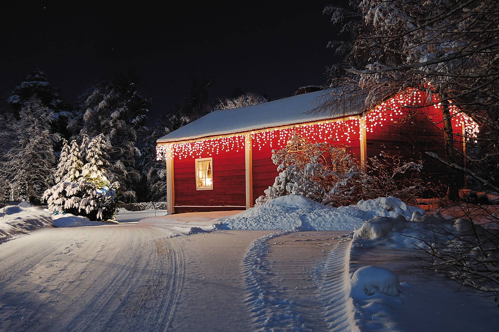 Showtec LED Rubber Icicle Light WW Schwarz - 200 LEDs - 5 m