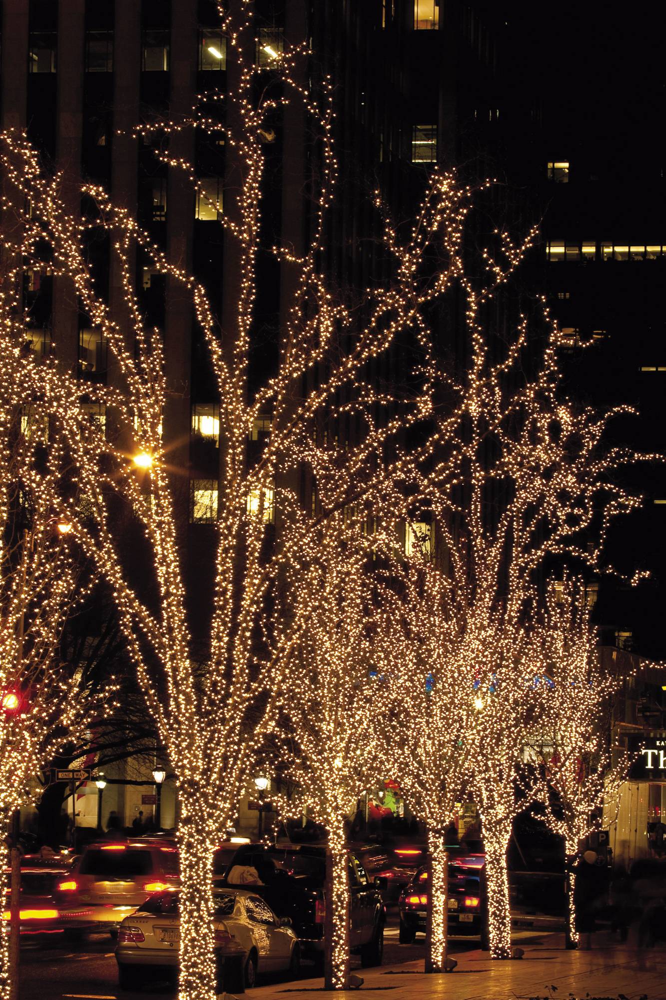 Showtec LED Rubber Static String Light WW Schwarz - 100 LEDs - 10 m