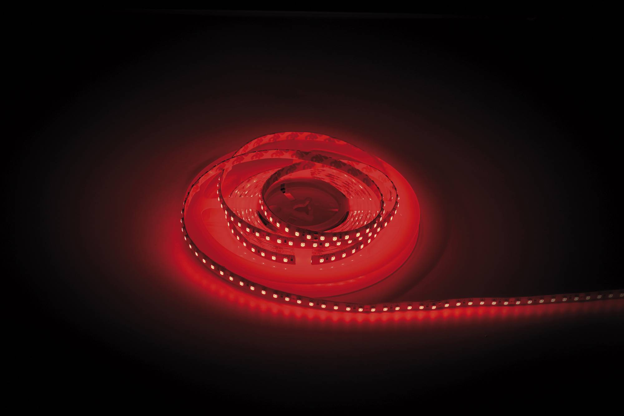 Artecta Havana Dropper Red 120-24V 5 m 3528 LED, einfarbig